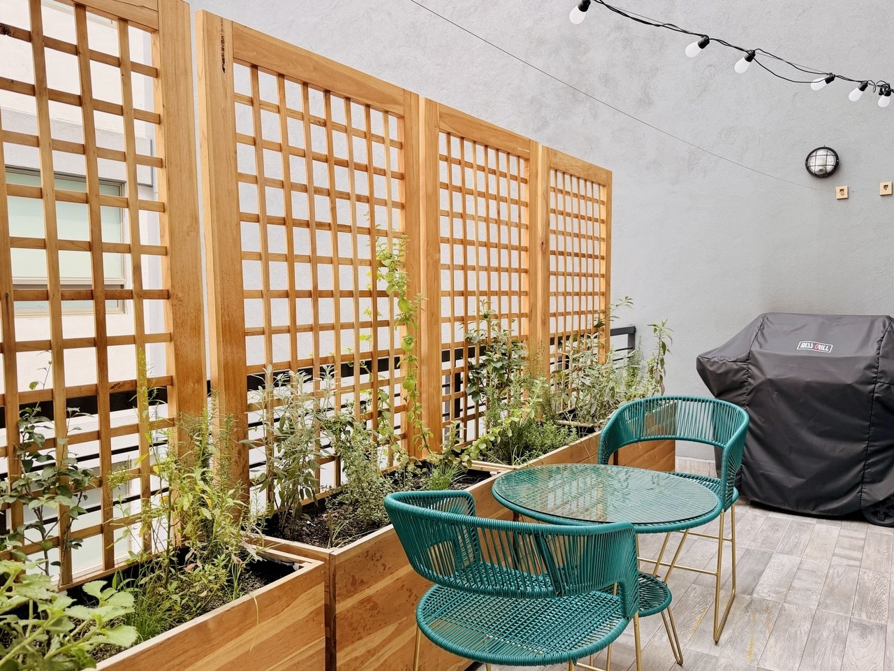 Charming Apartment in the Neighbourhood of the Lakes in Mexico City