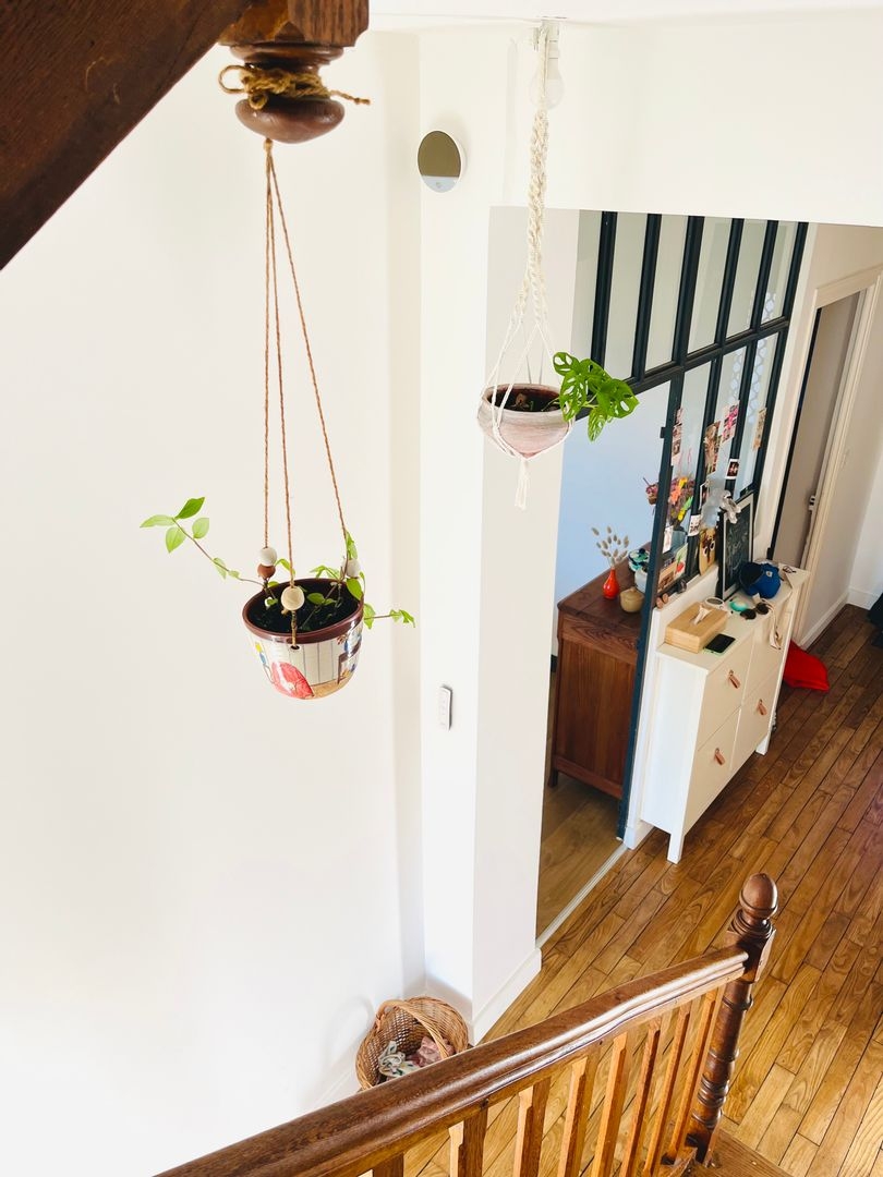Family house with garden