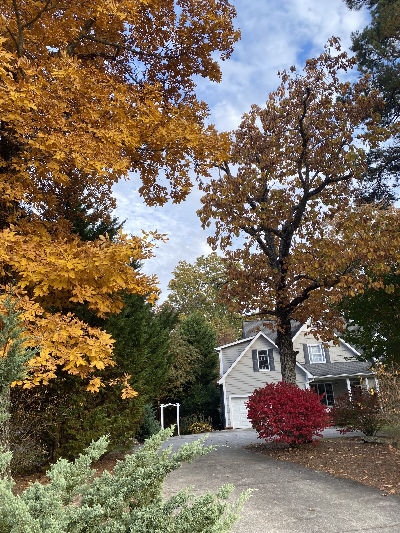 Classic U.S. home near trails and nature in a wonderful community, 10 min to Chattanooga