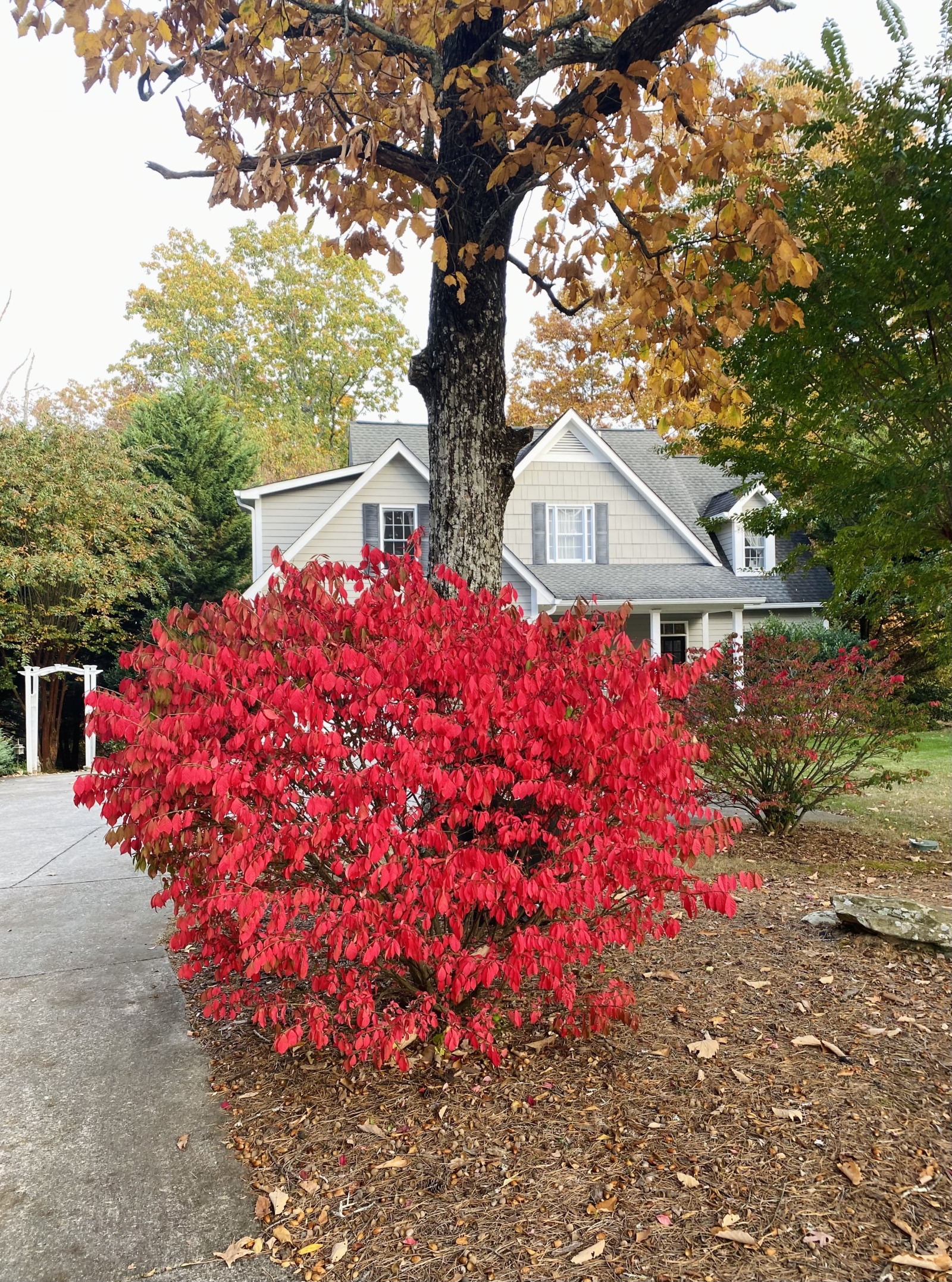 Classic U.S. home near trails and nature in a wonderful community, 10 min to Chattanooga
