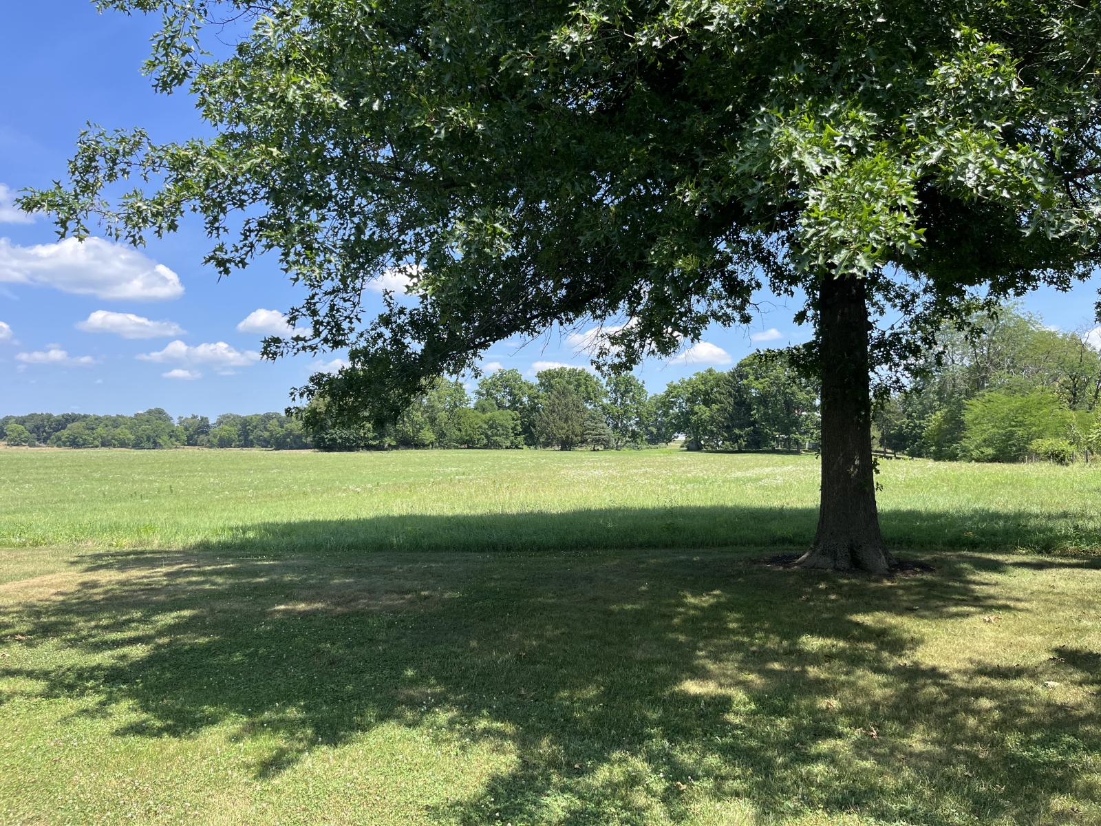 Lovely rancher w large backyard & gorgeous views of the countryside.