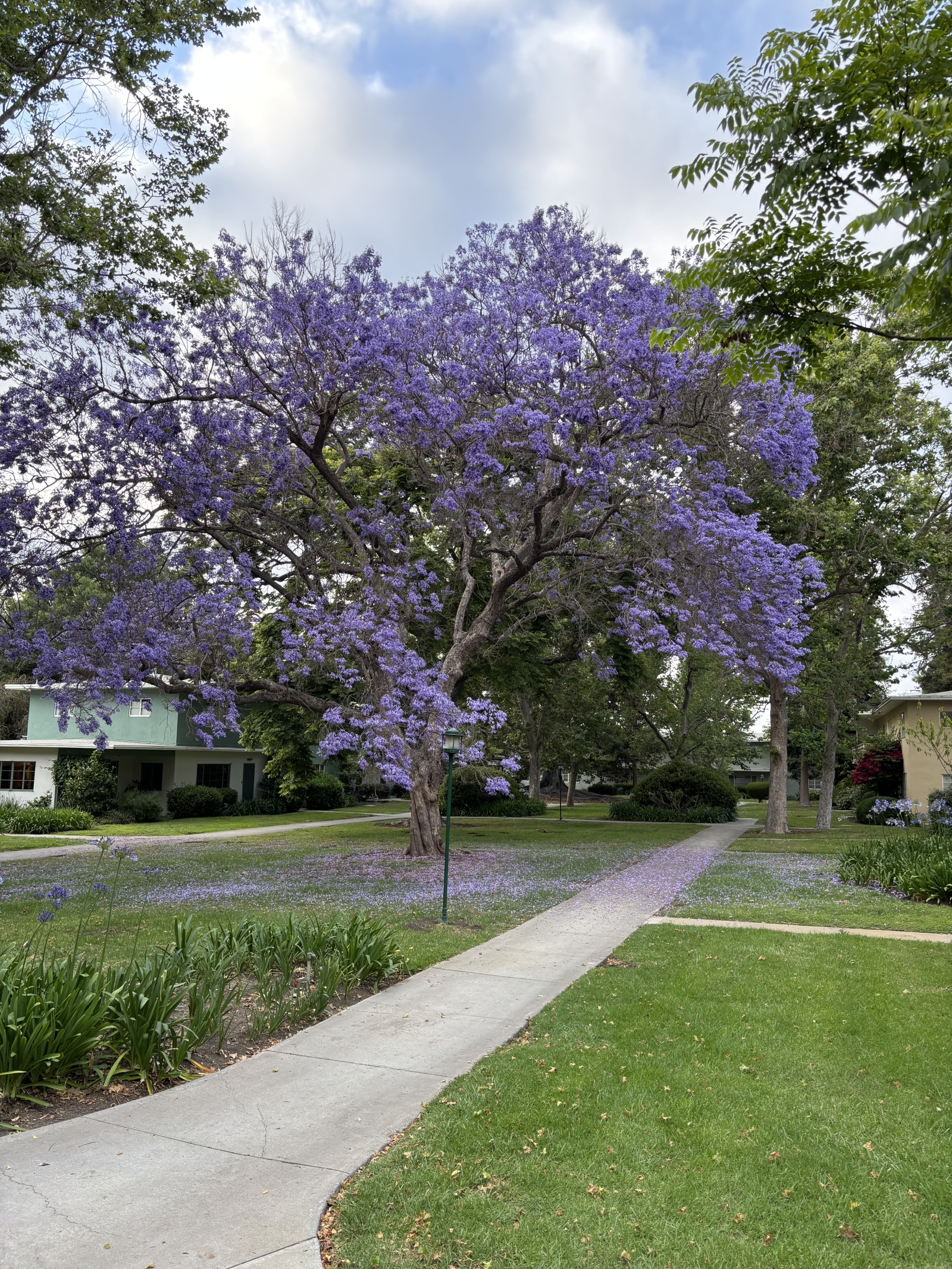 Communauté du jardin de Los Angeles