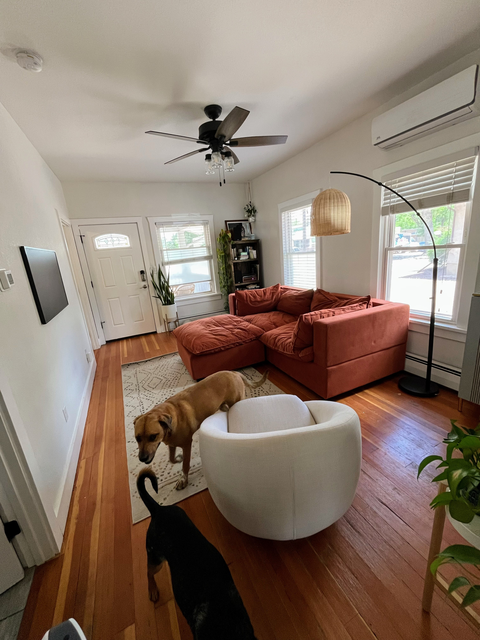 Cottage Ivywild de Colorado Springs | Praticable à pied, à vélo, acceptant les chiens | Vues sur la montagne et caractère local
