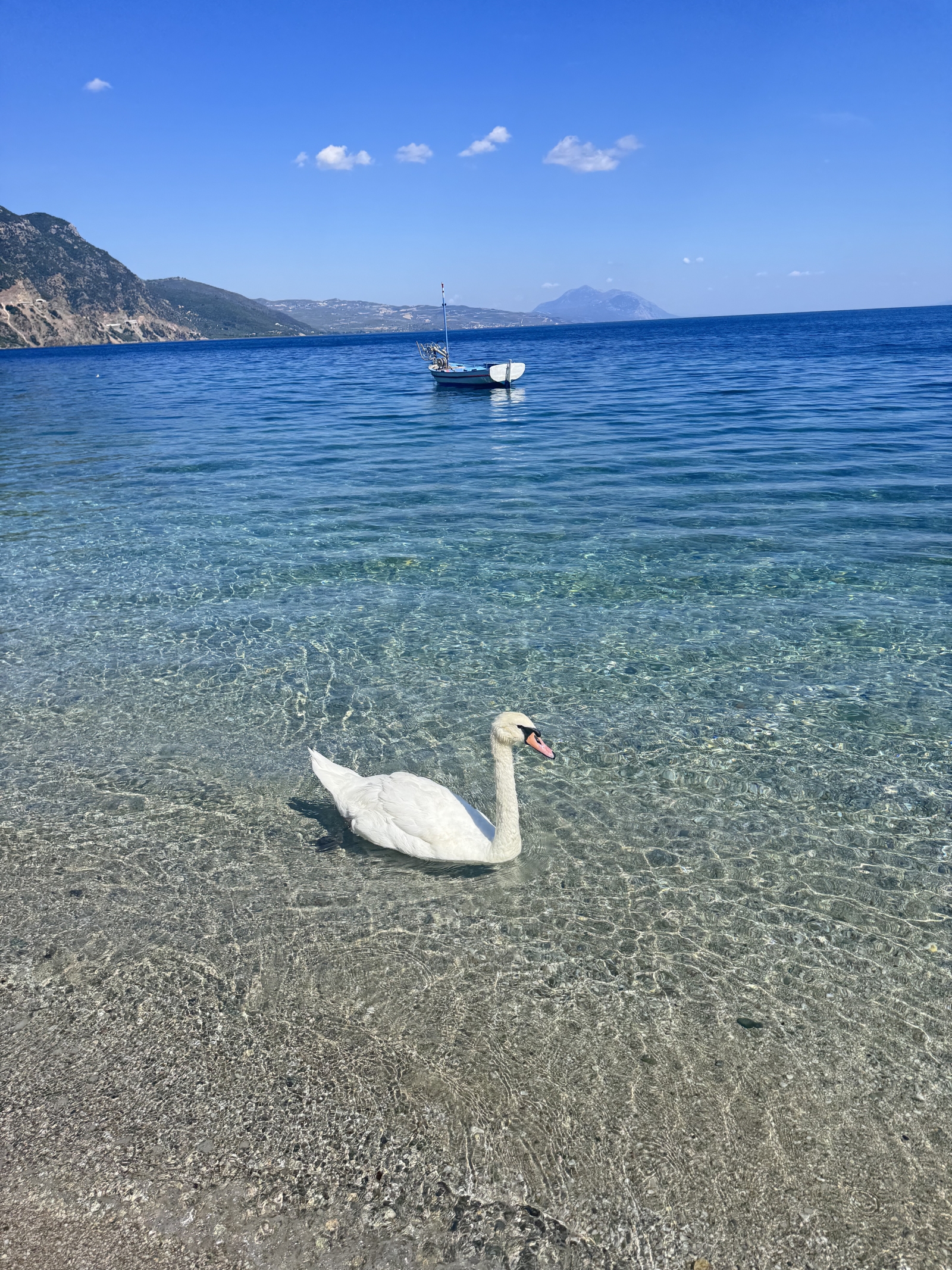 Waterfront Greek Villa with pool and private beach