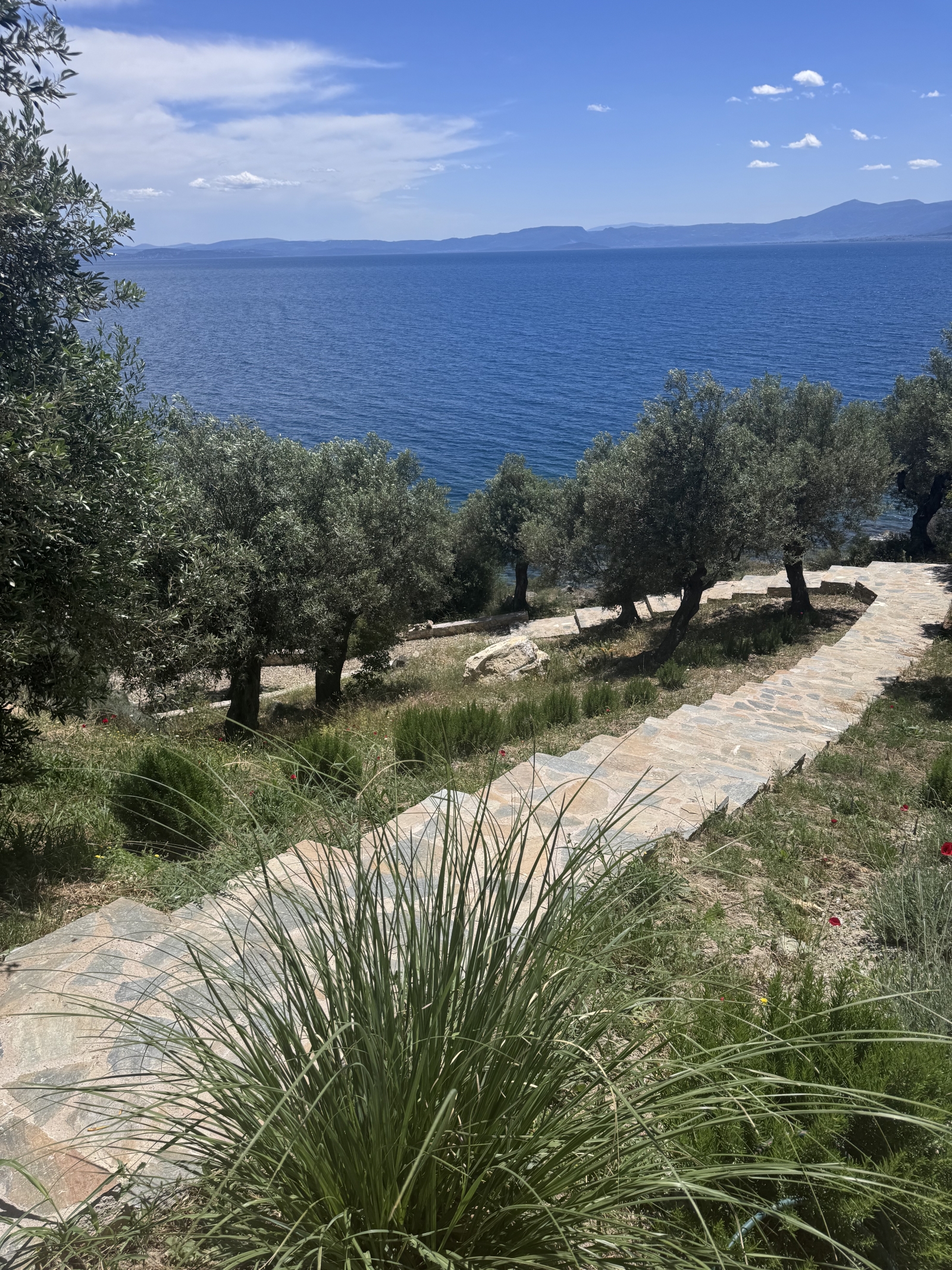 Waterfront Greek Villa with pool and private beach