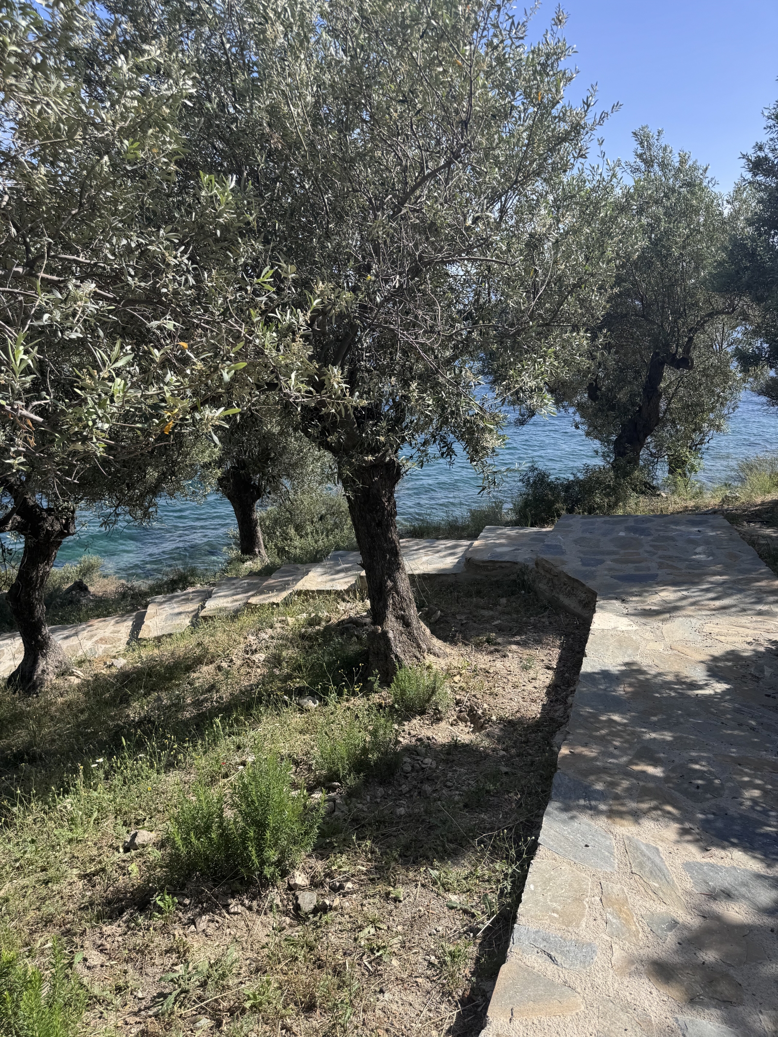 Waterfront Greek Villa with pool and private beach