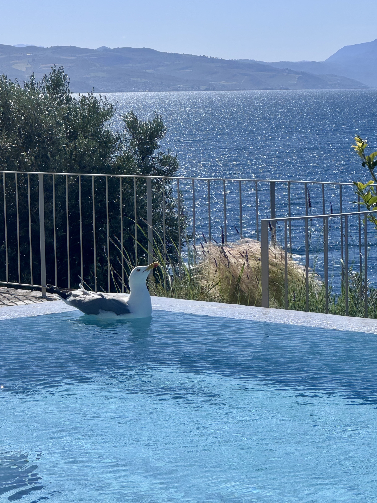 Waterfront Greek Villa with pool and private beach