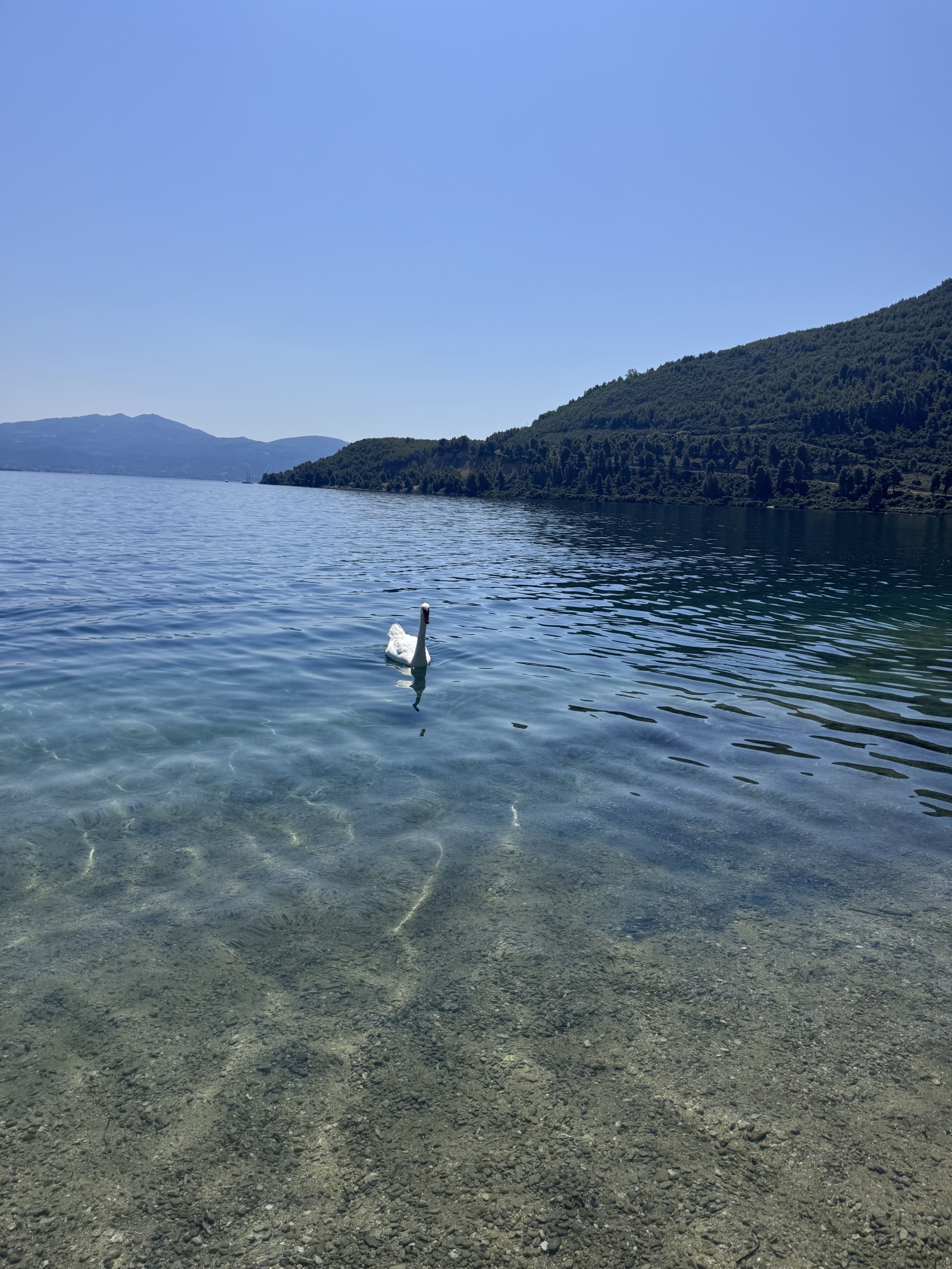 Waterfront Greek Villa with pool and private beach