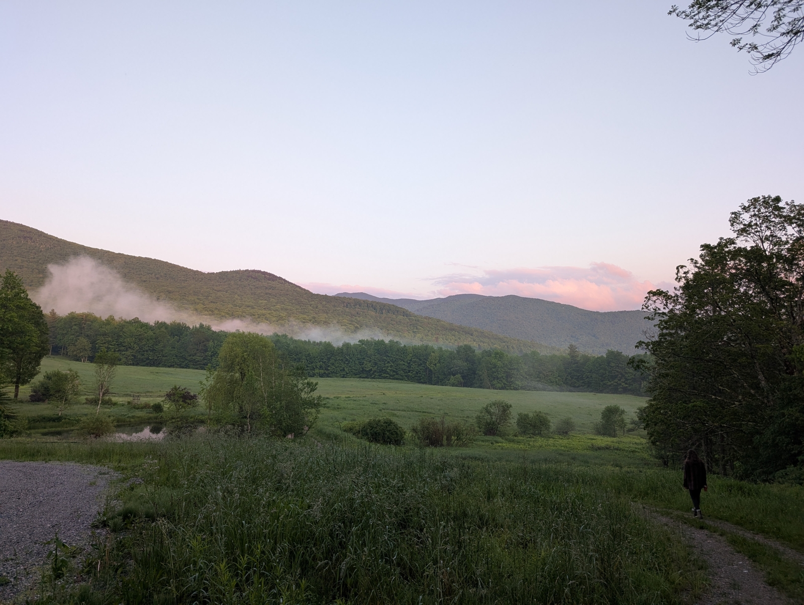 Foggy evening