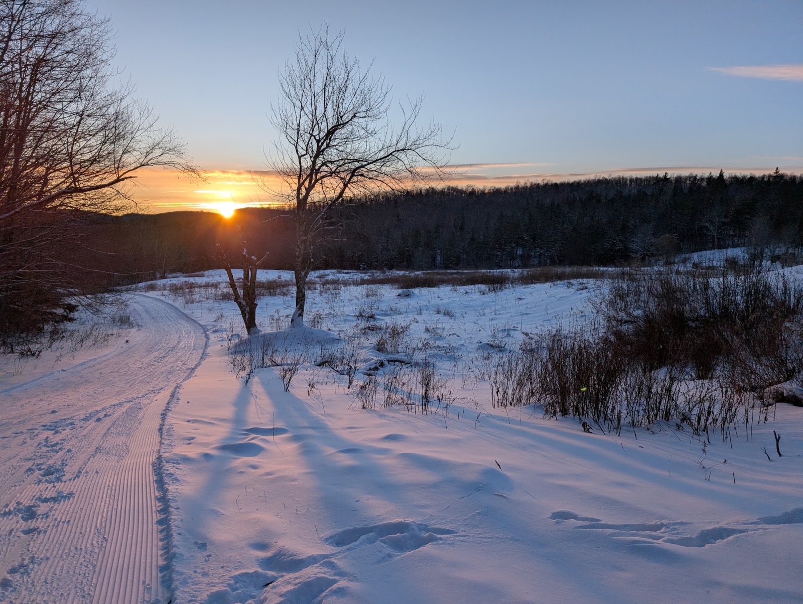 Winter sunset over the cross-country trails that go through our meadow and woodlands