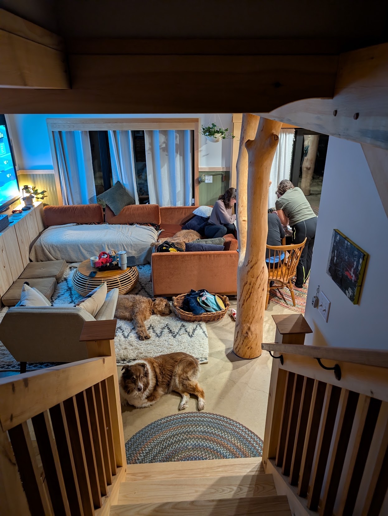 A full and happy house