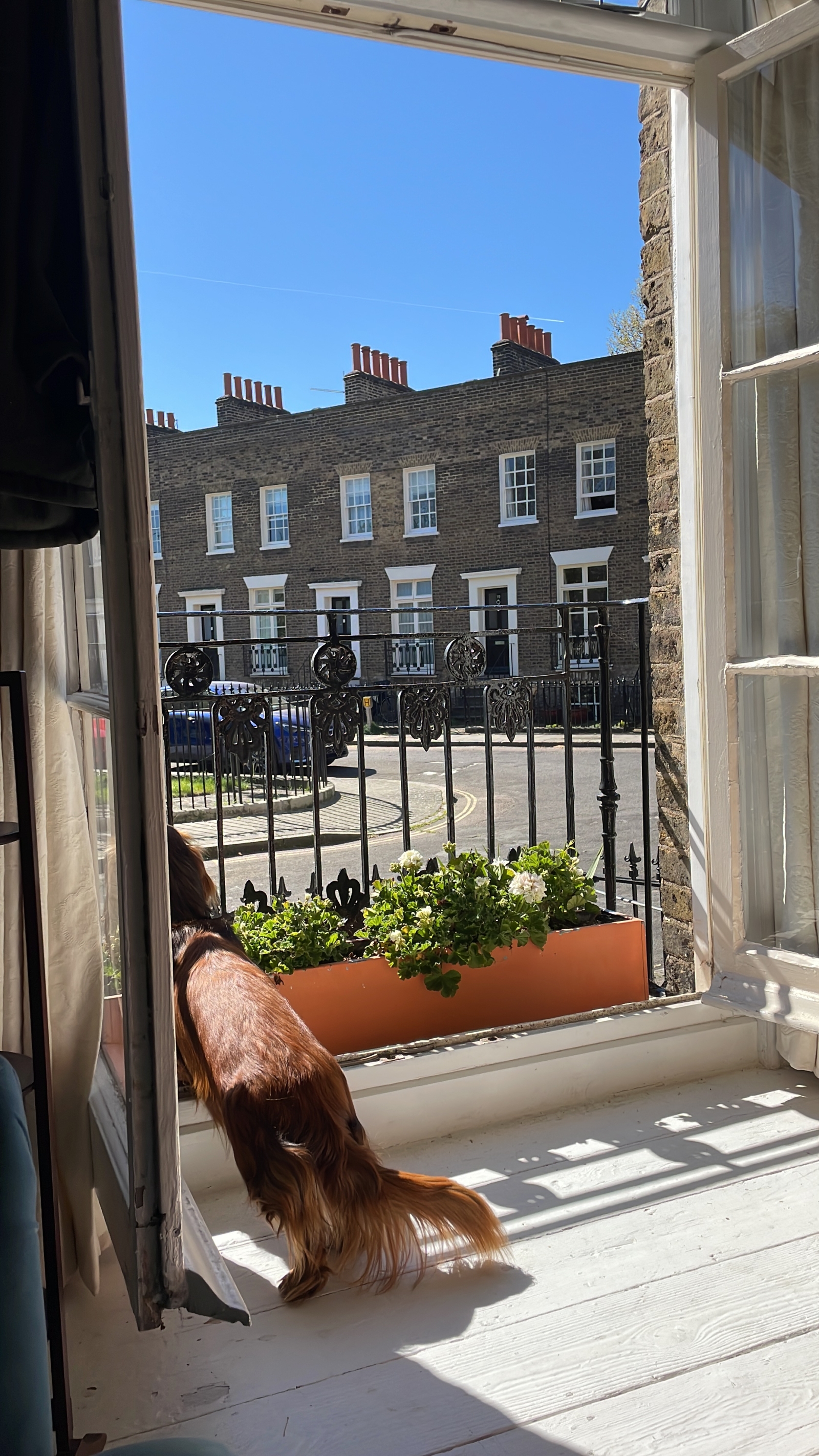 Grade II listed Georgian terrace in historic garden square, close to the Houses of Parliament