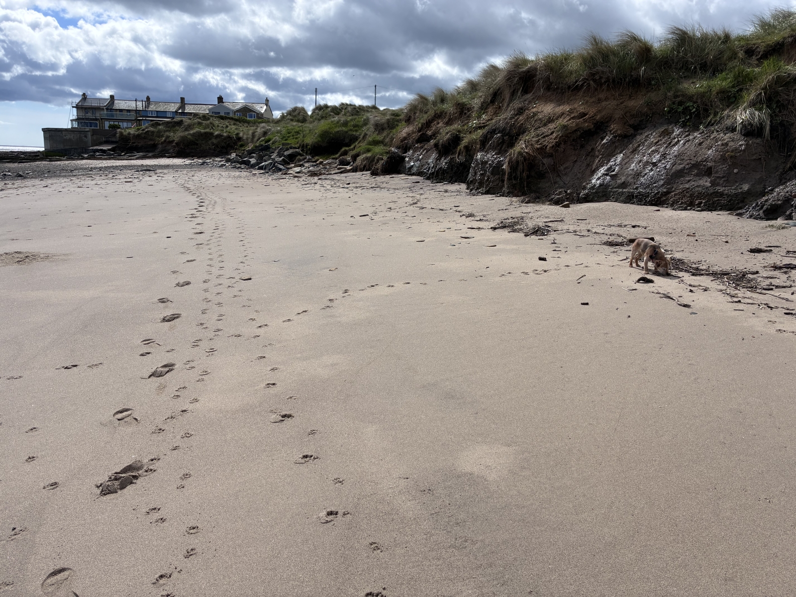 Playa que acepta perros a 200 m de la casa.