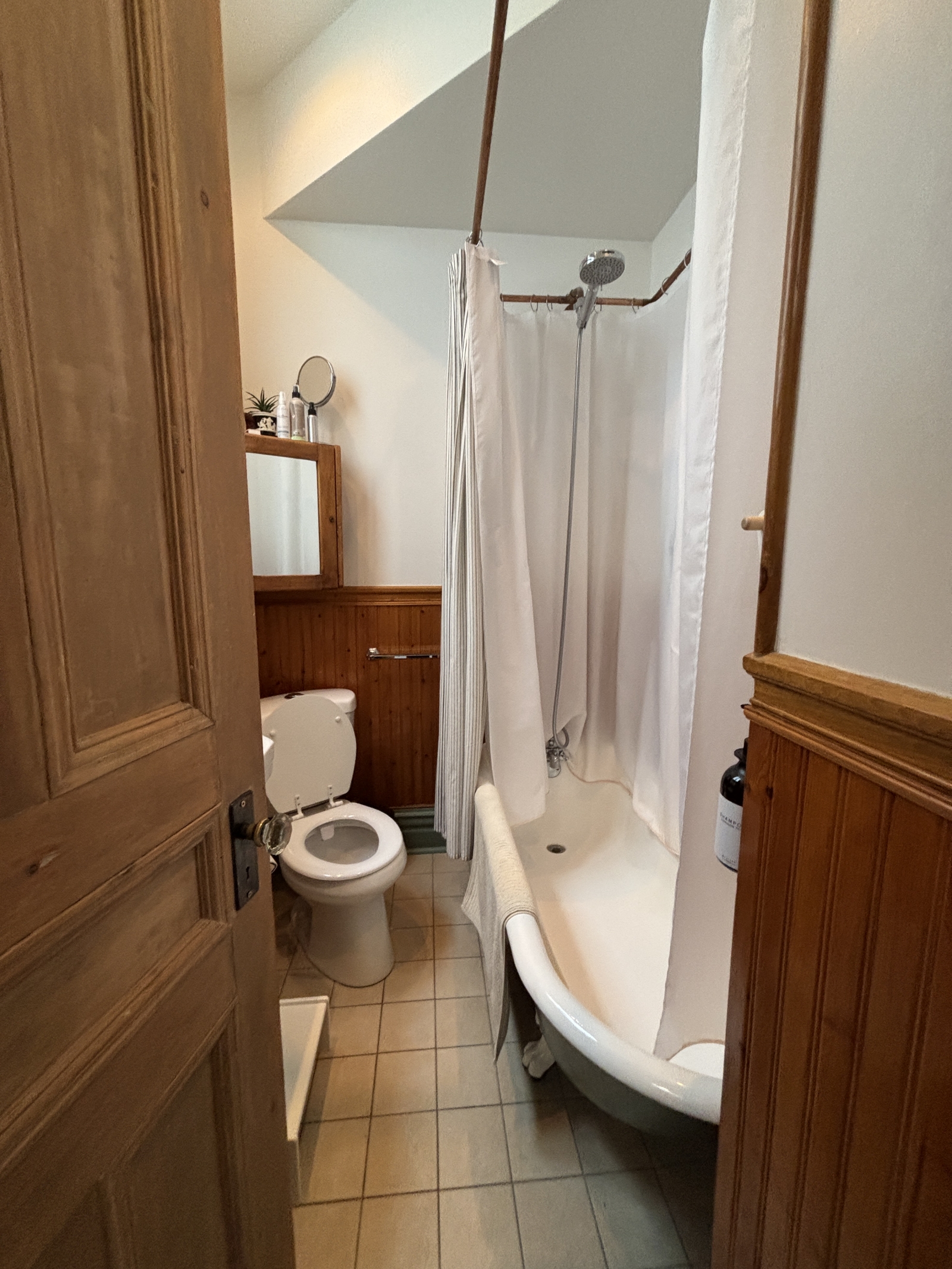 Beautiful typical Mile End apartment, bright and full of love!