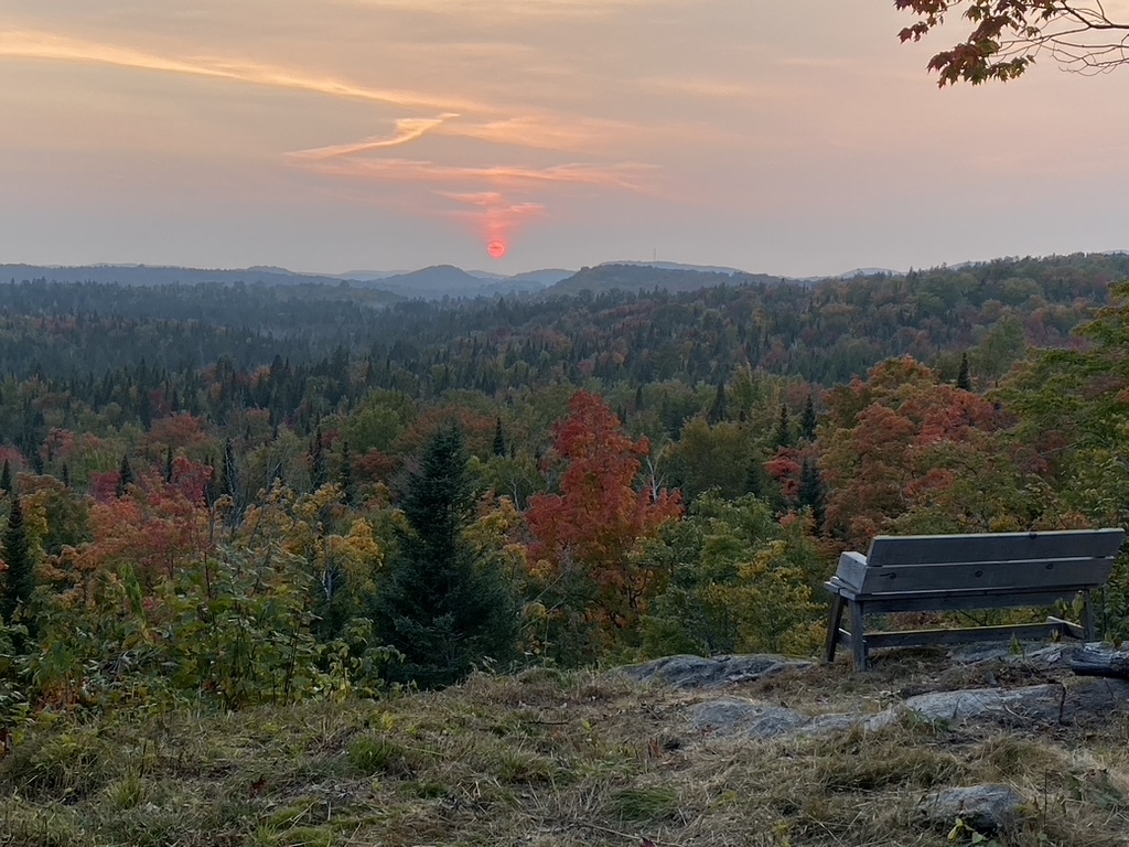 Het bos, het meer en de bergen