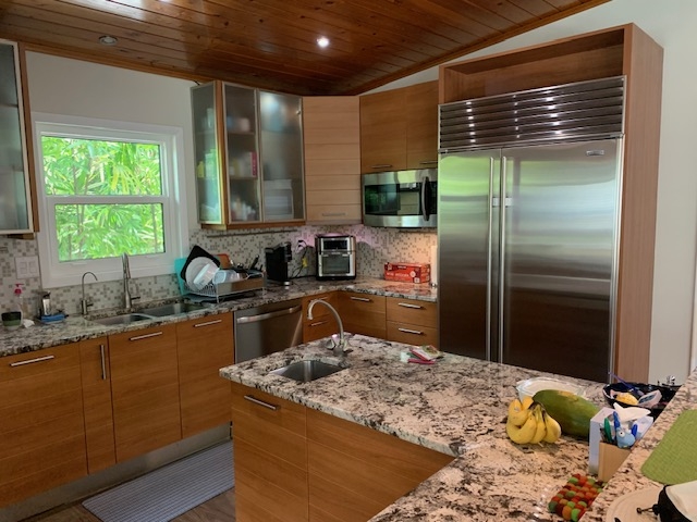 Casa moderna di metà secolo fresca in un'ambientazione tropicale rigogliosa