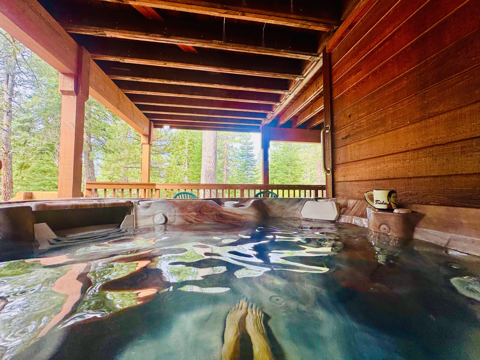 Mountain fun in Tahoe-Donner, Truckee! (only 1 bdr & no dogs during ski season)