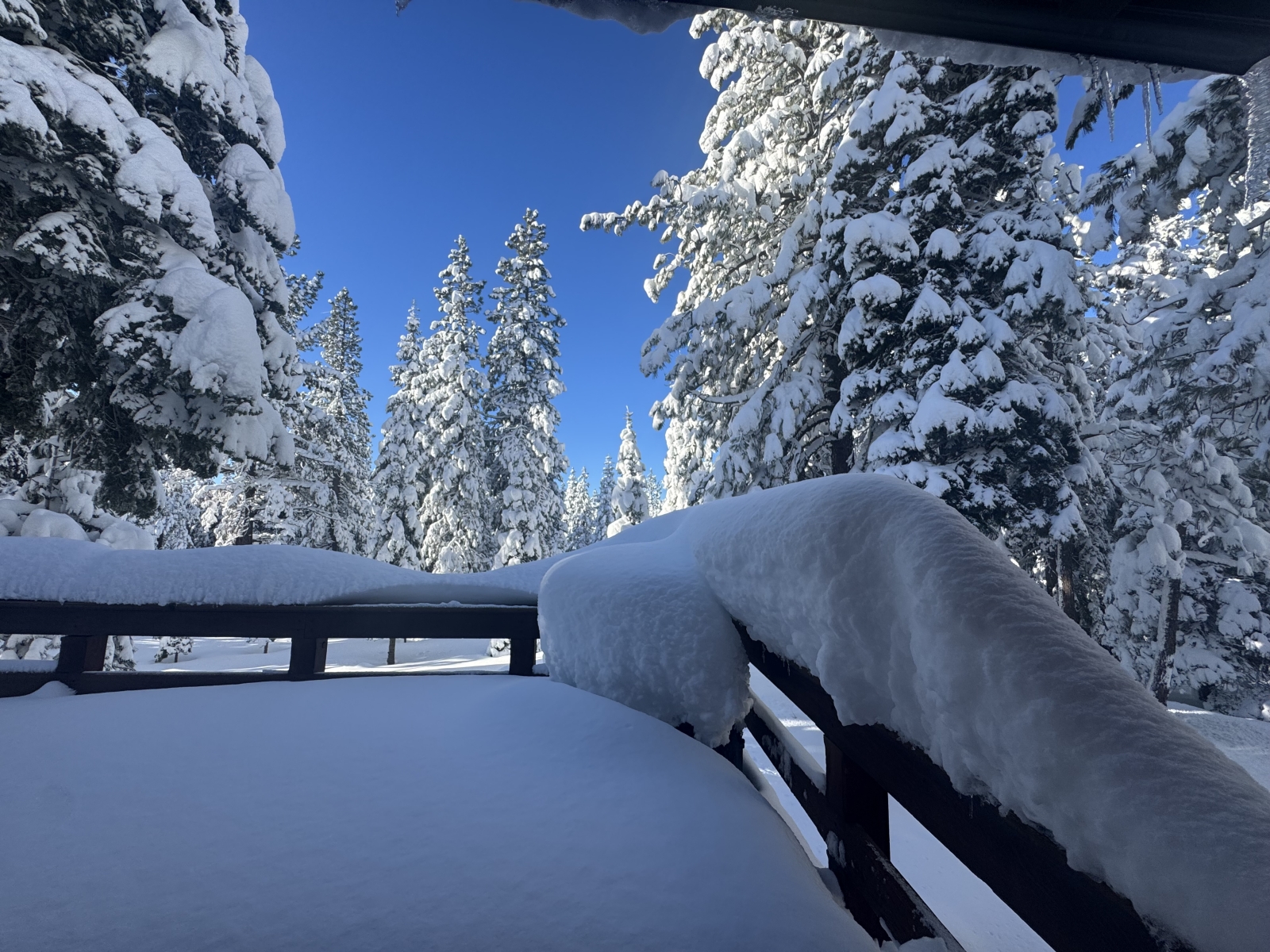 Mountain fun in Tahoe-Donner, Truckee! (only 1 bdr & no dogs during ski season)
