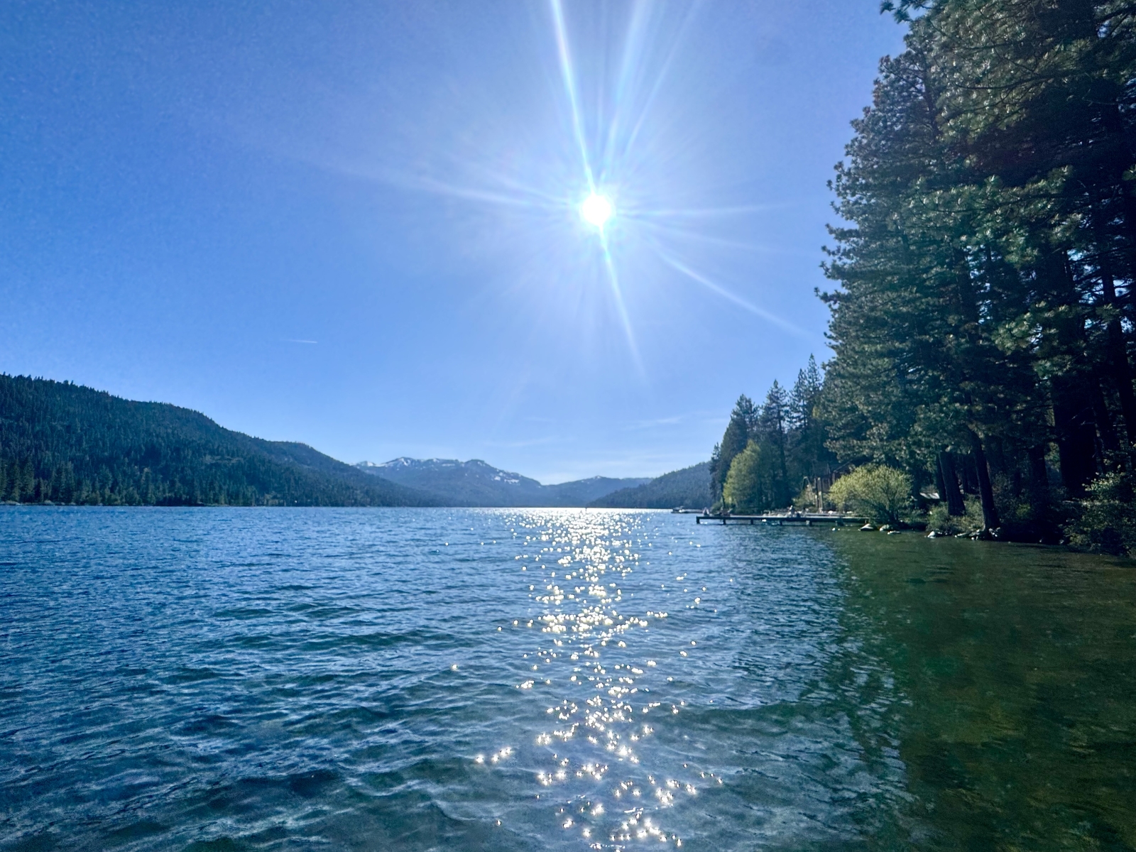 Mountain fun in Tahoe-Donner, Truckee! (only 1 bdr & no dogs during ski season)