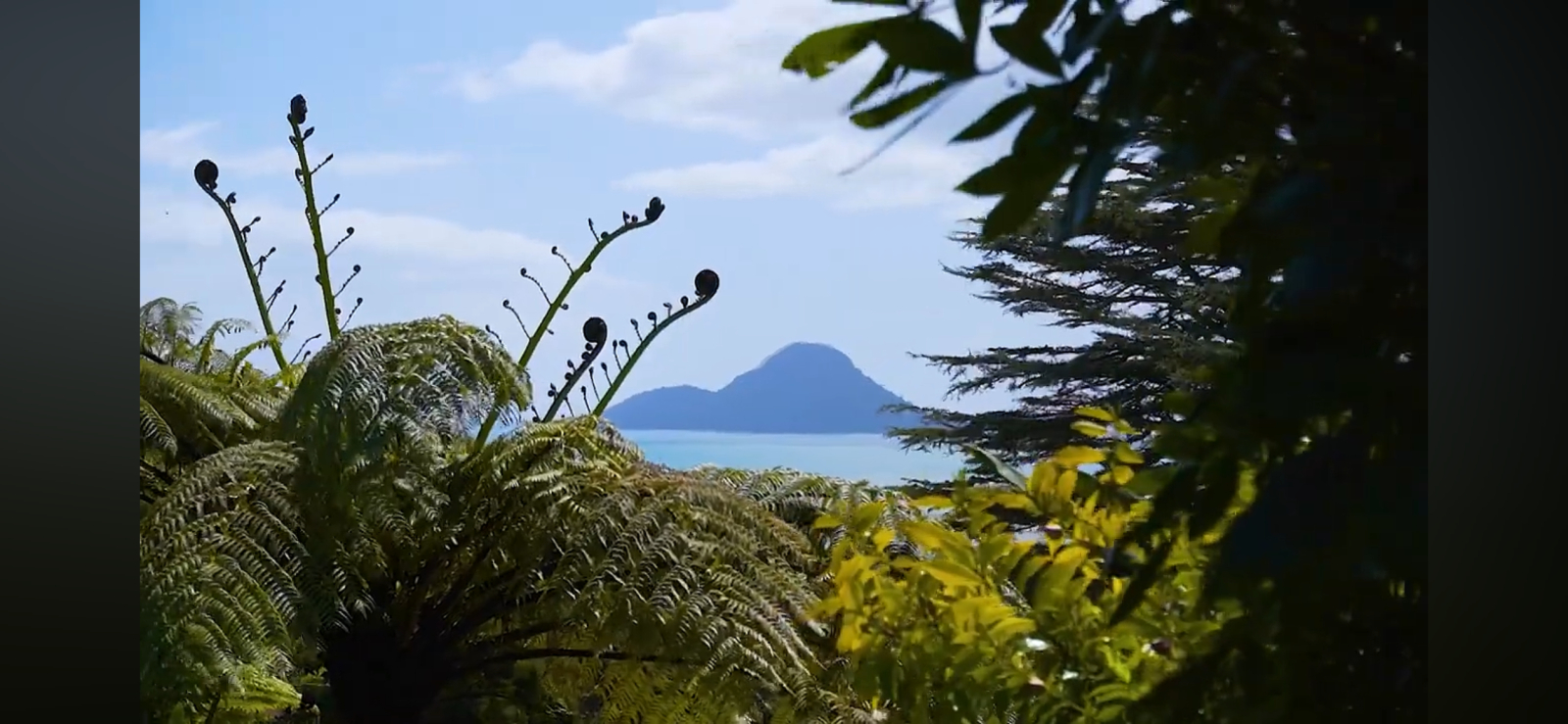 Sunny home… 4 minutes drive to New Zealand’s best Family Friendly Beach, with ocean views, native birds and a playground!