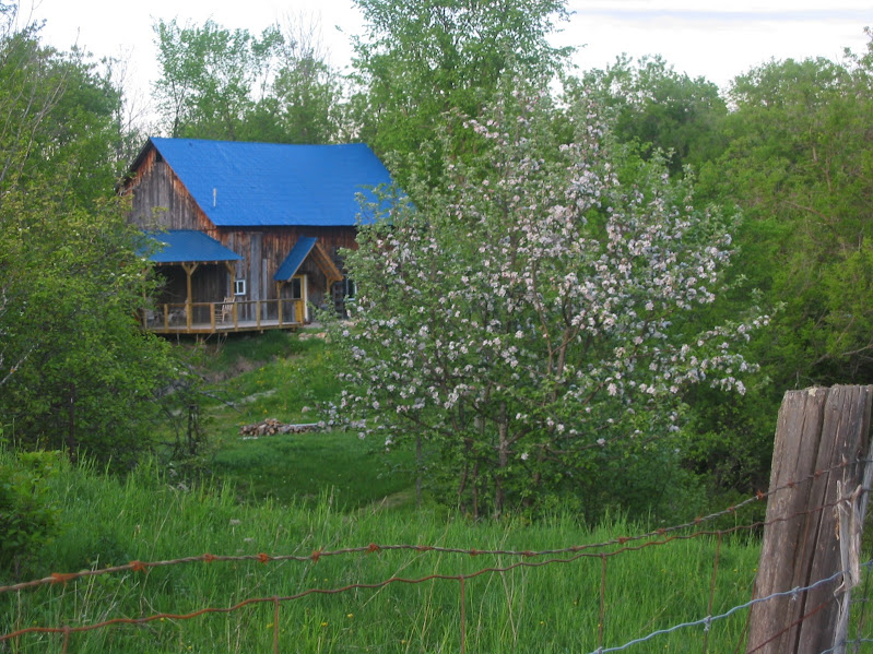 Rustic Renovated Barn