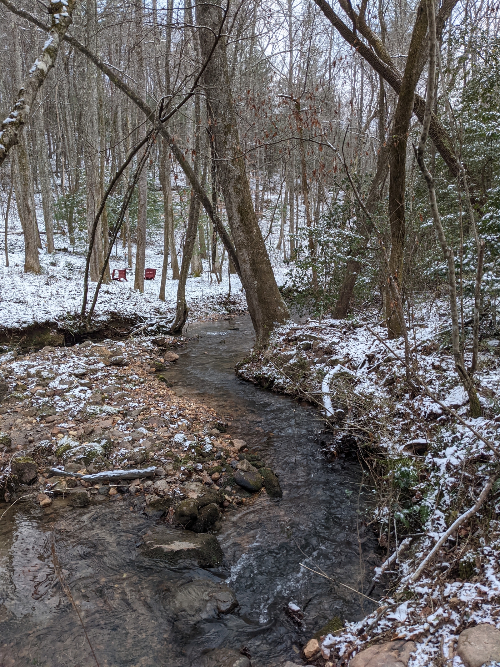 House on 5 wooded acres with a creek and trails