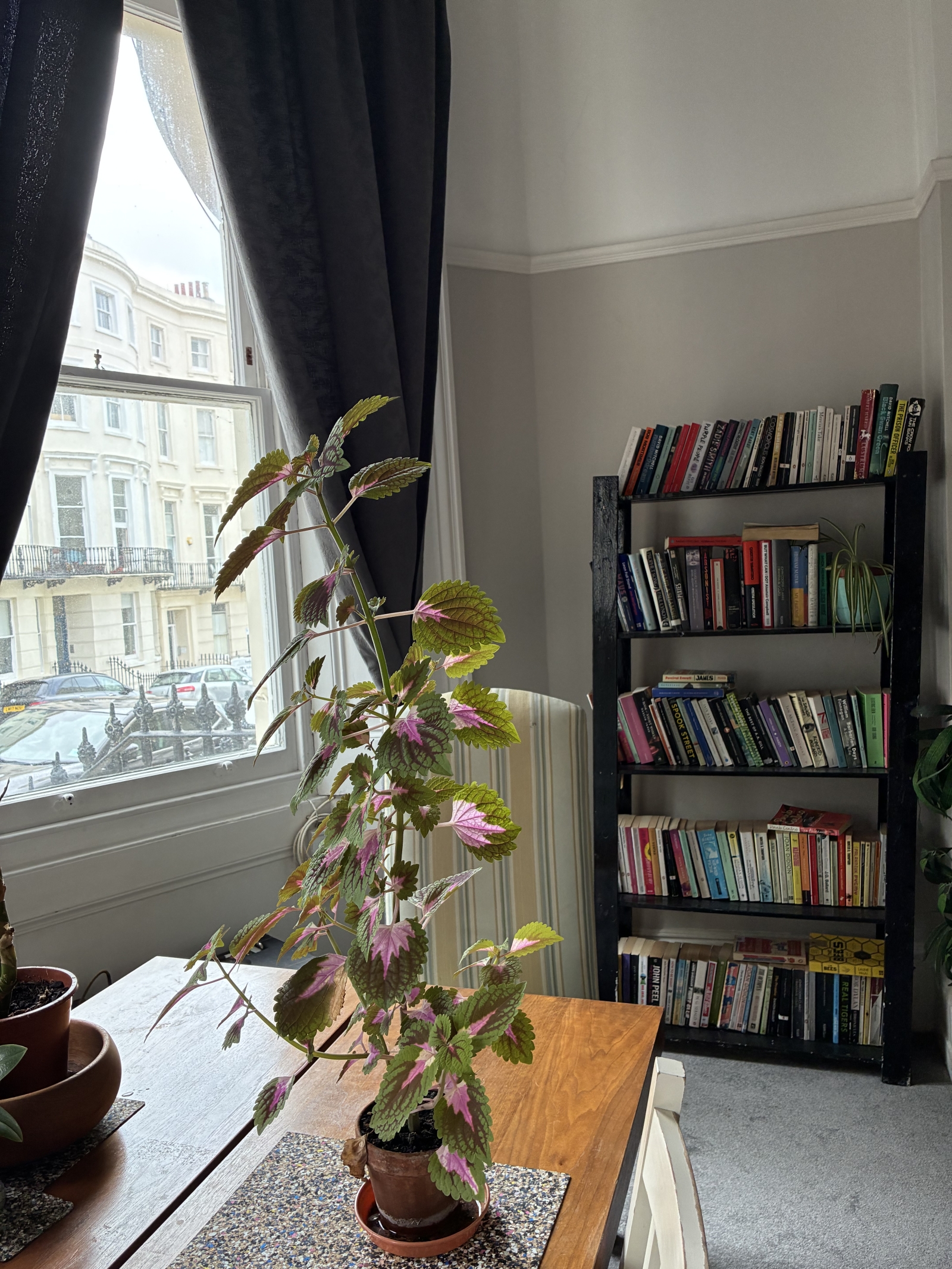 Charming and open flat 5 minute walk from the sea in the village of Kemptown