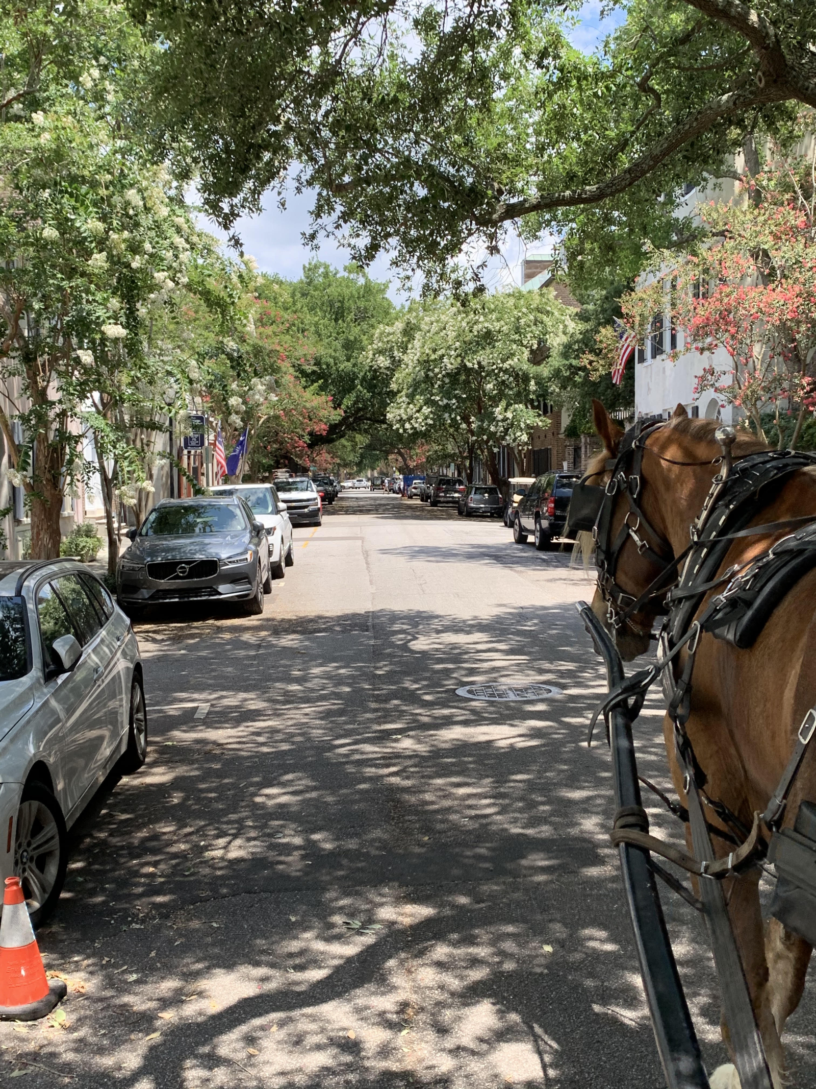 Casa renovada en Charleston con hermosas vistas al agua, cerca del centro histórico y las playas