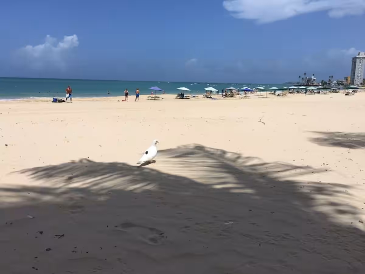 Strandurlaub – San Juan, Puerto Rico, idealer Ort.