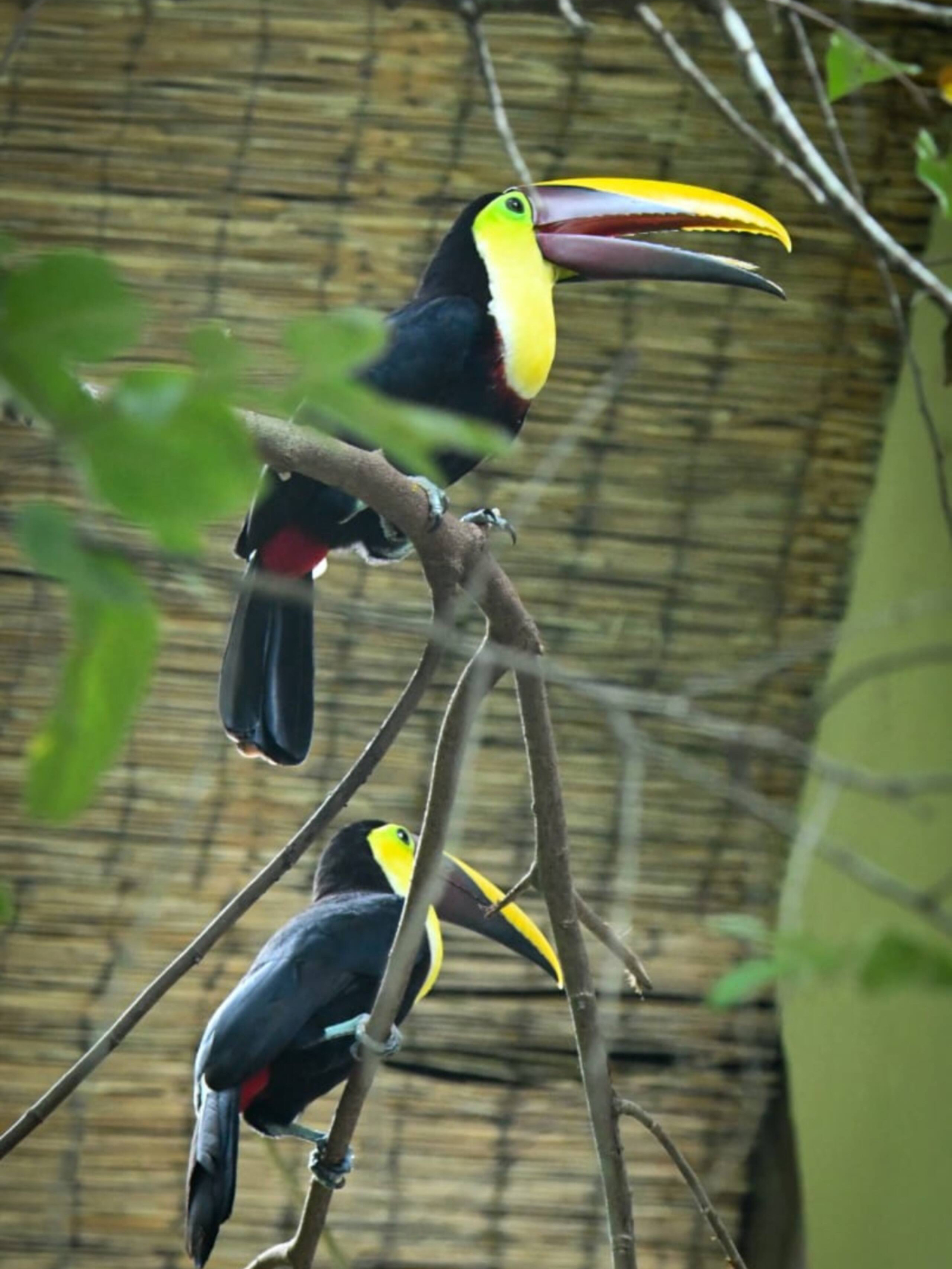 Appartamento incantevole in Costa Rica