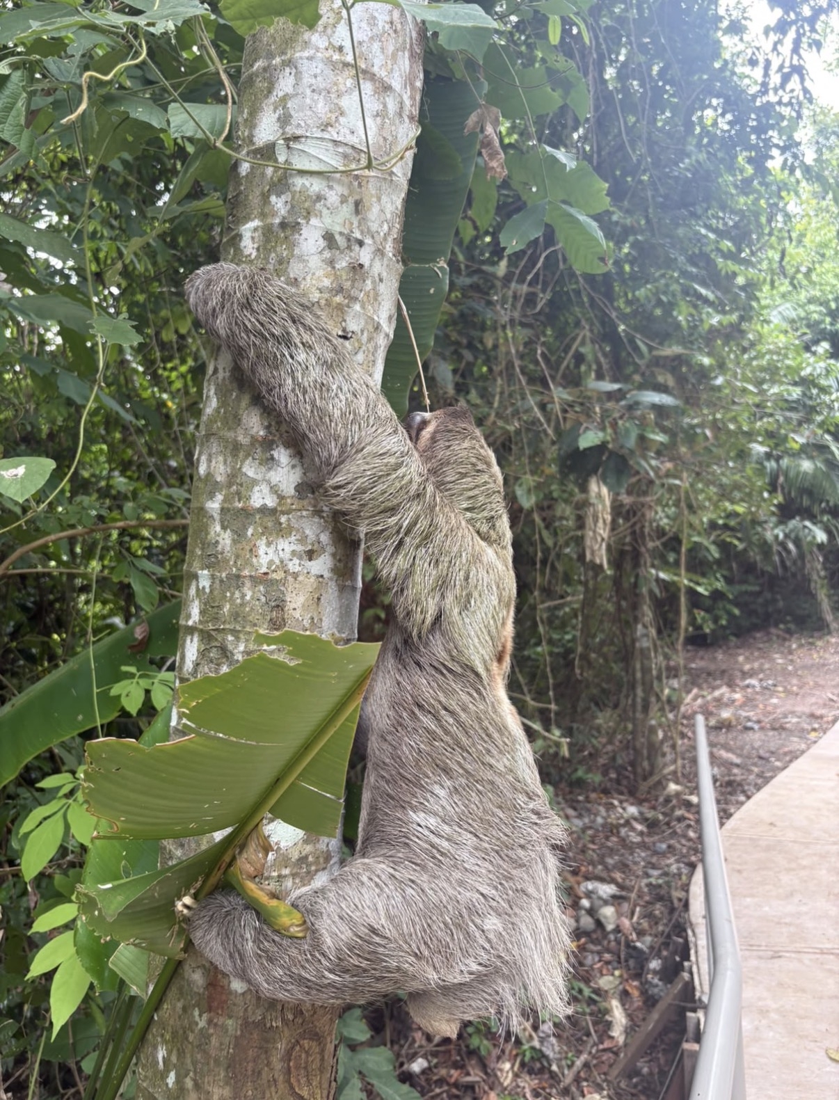 Appartamento incantevole in Costa Rica