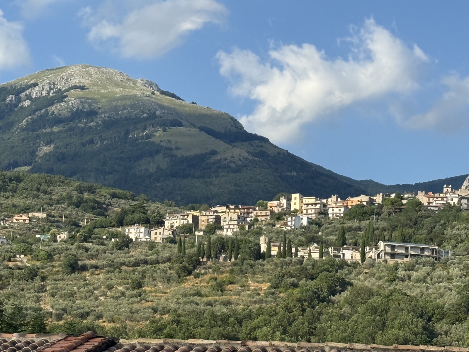 Villa italiana con piscina y espacio para eventos en Vico nel Lazio