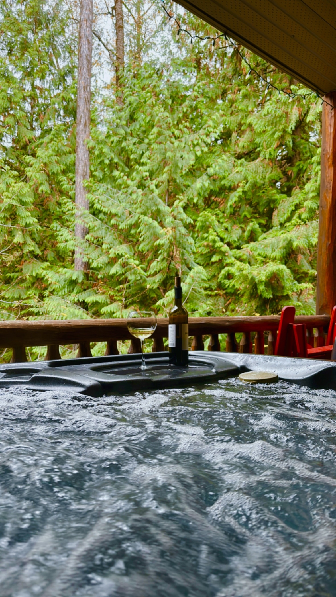 Cozy Mountain Retreat | | Ski, Golf, Bike, Hike & Explore
