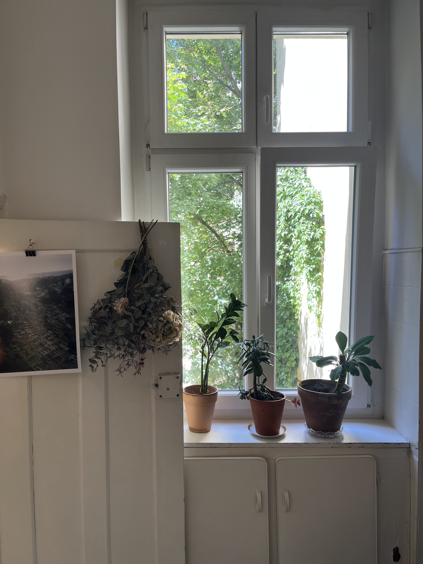 Cosy Altbau Berlin Studio Flat