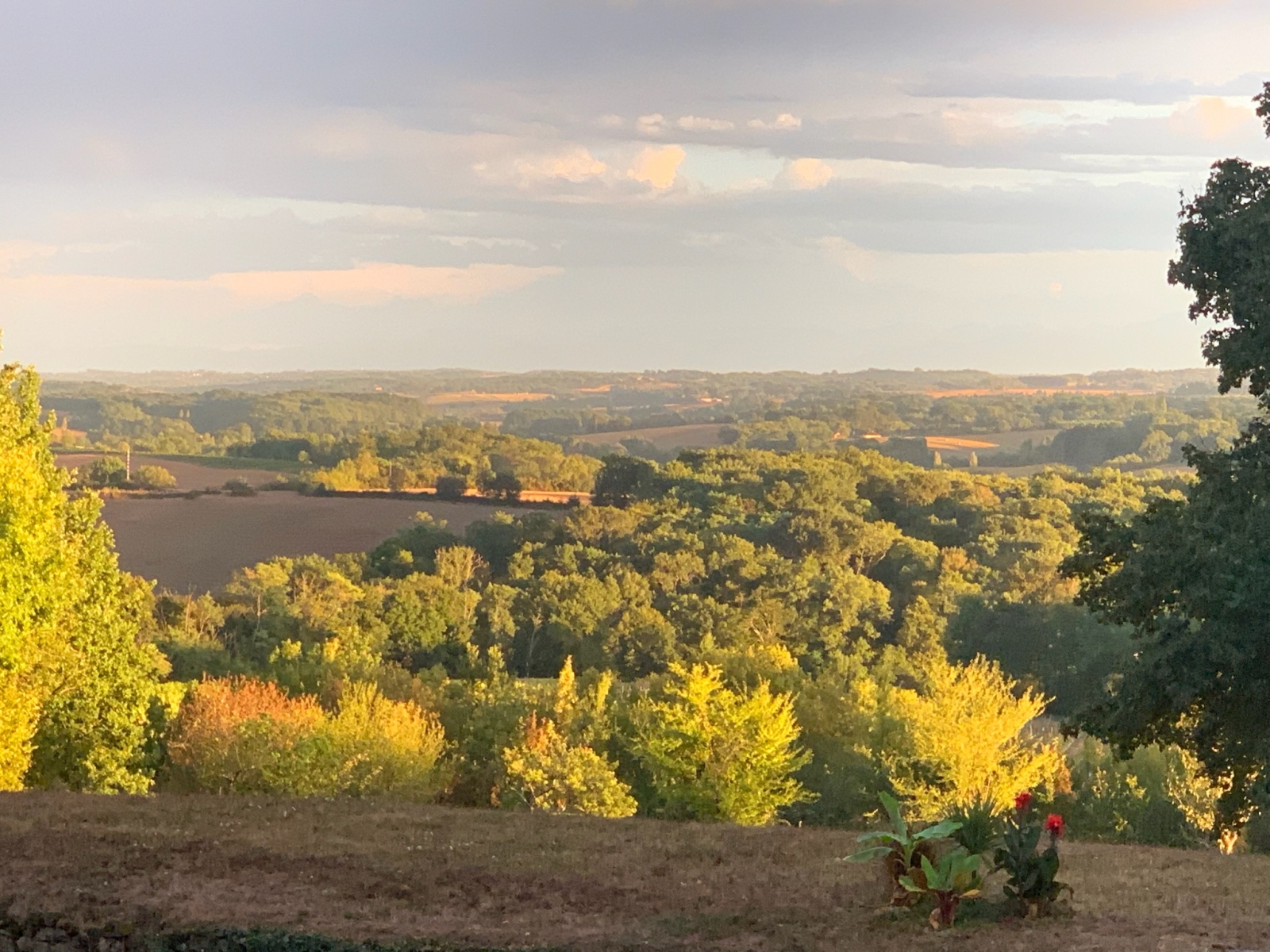 Luxury in Nature. Country Comfort and Historic Charm in the South West of France