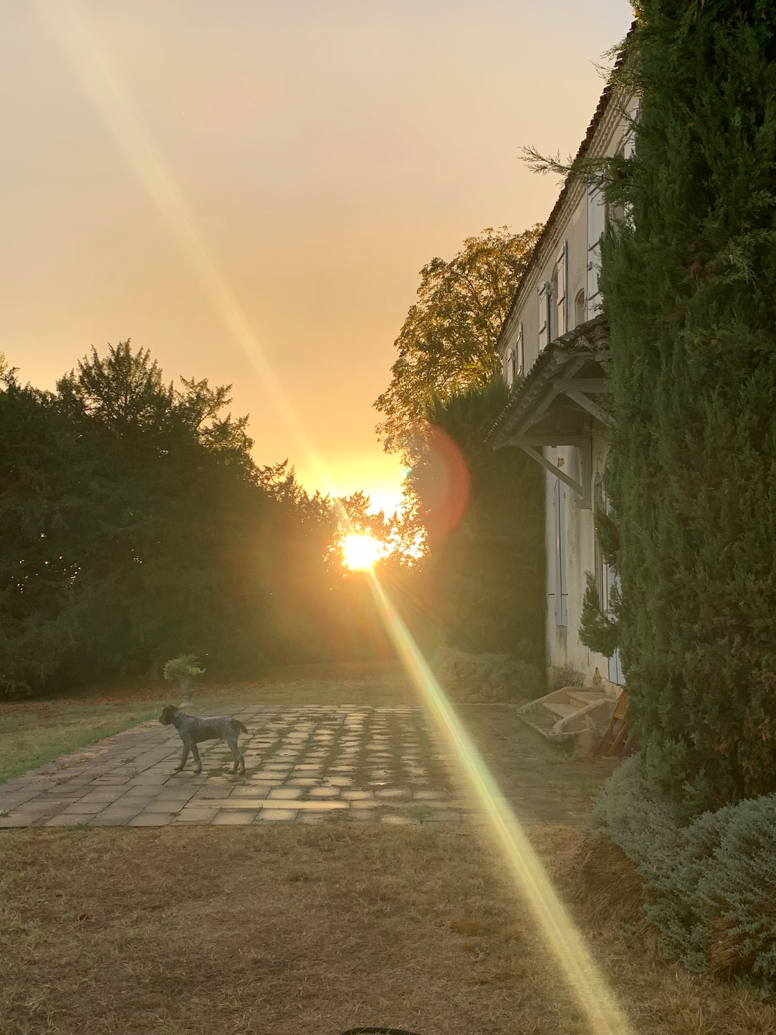 Luxury in Nature. Country Comfort and Historic Charm in the South West of France