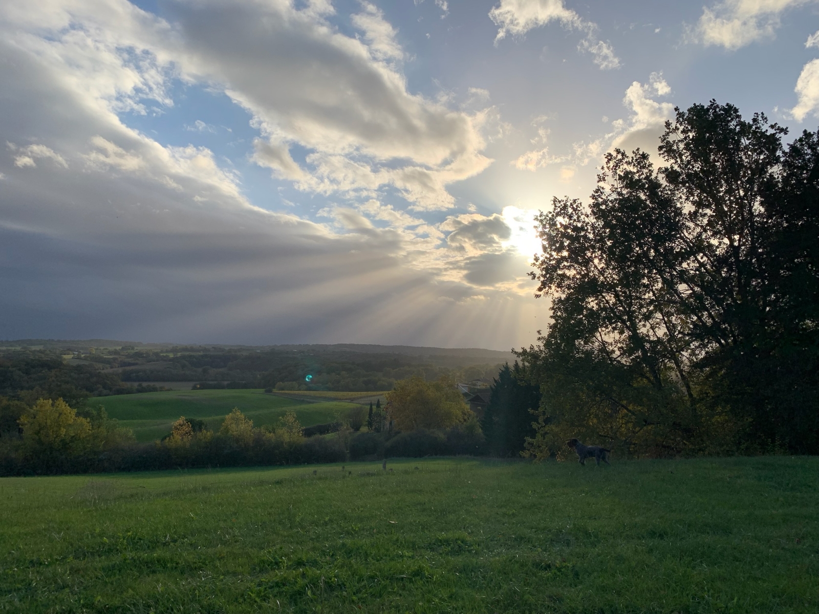 Luxury in Nature. Country Comfort and Historic Charm in the South West of France