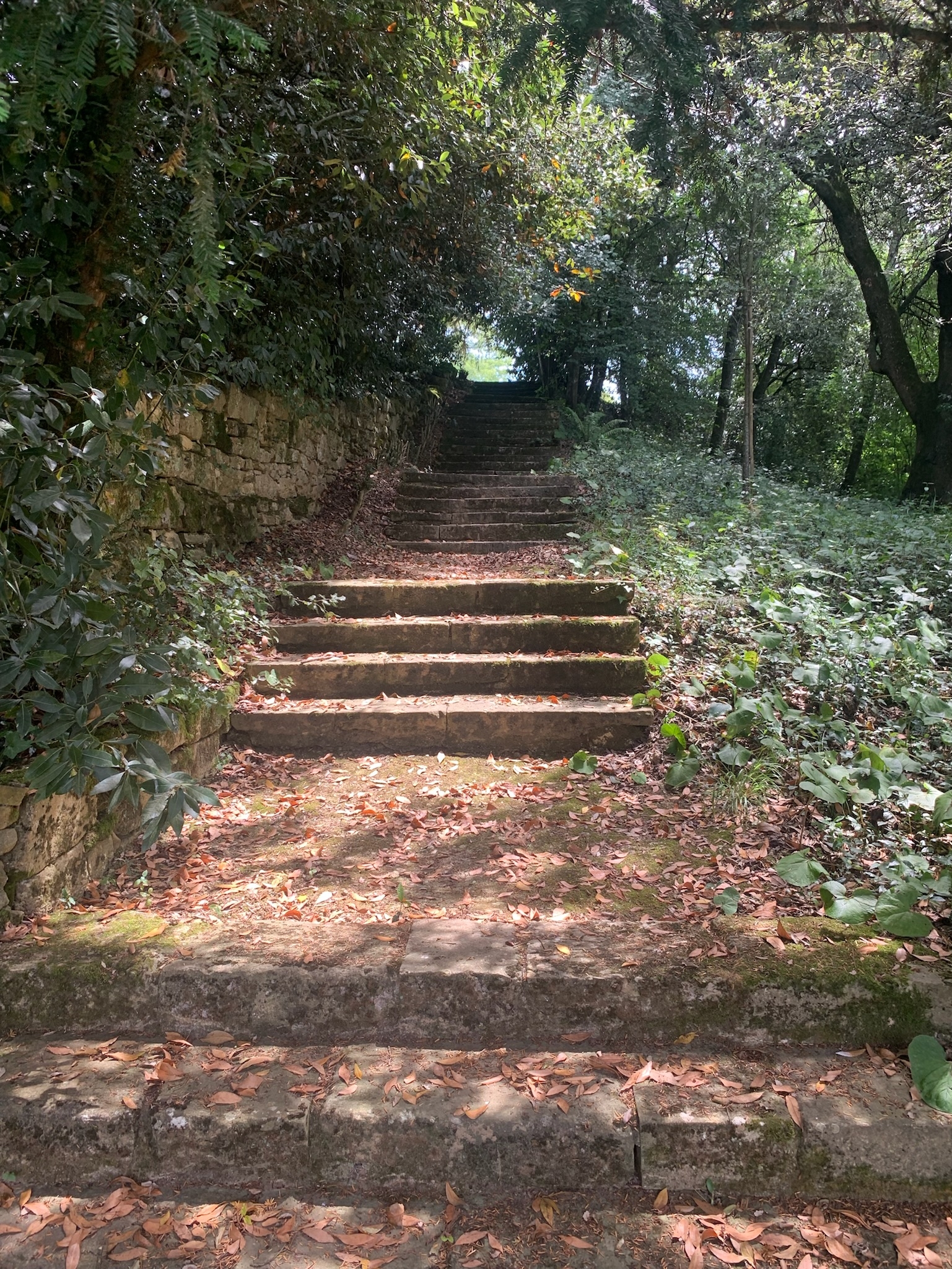 Luxury in Nature. Country Comfort and Historic Charm in the South West of France