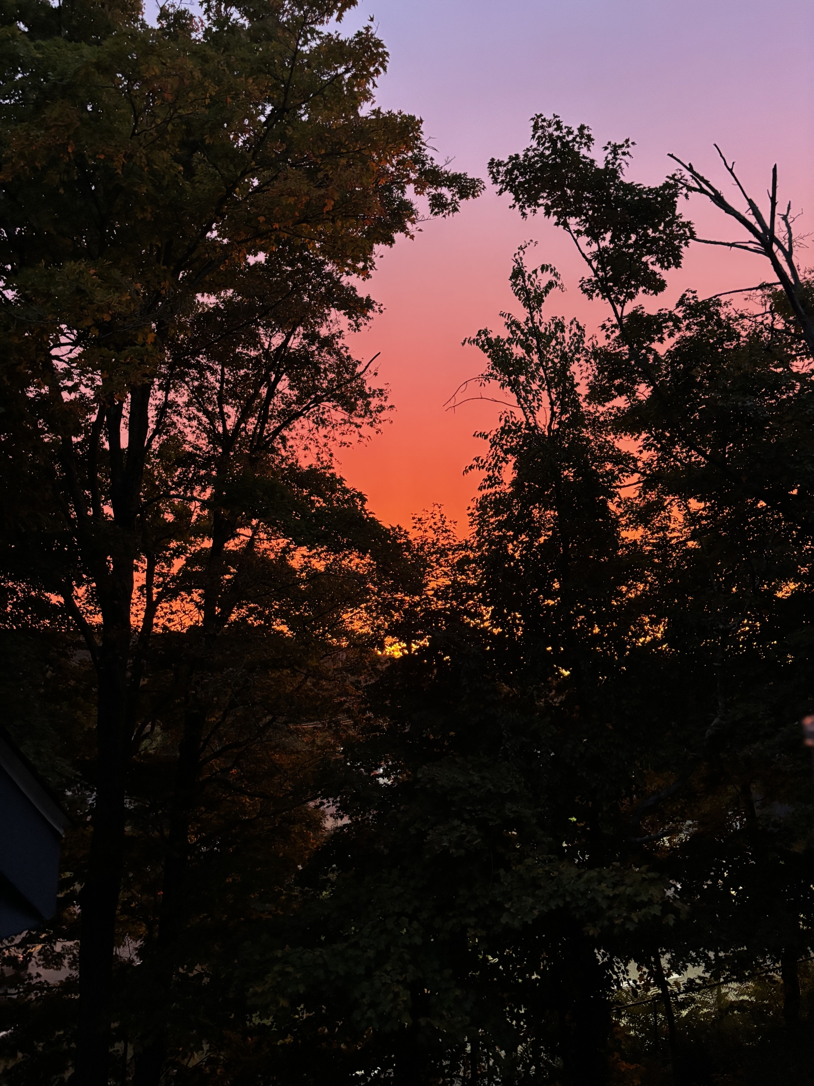 Atardeceres y travesuras en Norwich