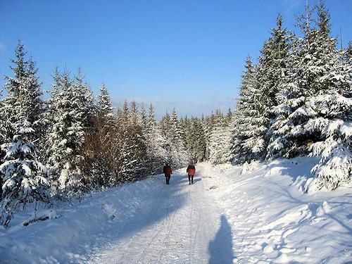 Beautiful Family Home near Freiburg, Germany – Black Forest, France & Switzerland at Your Doorstep