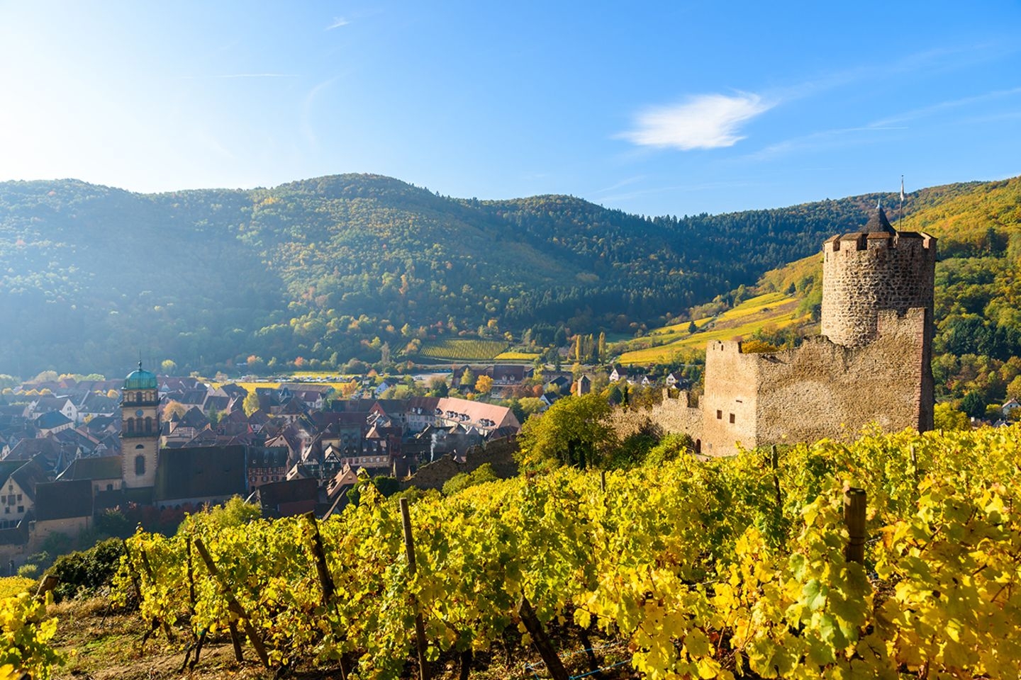 Beautiful Family Home near Freiburg, Germany – Black Forest, France & Switzerland at Your Doorstep