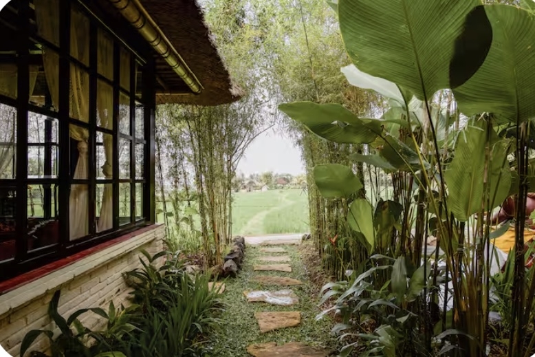 Artist residence in the ricefields