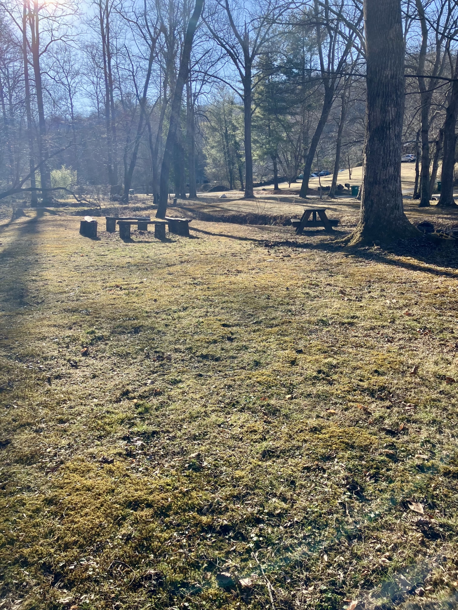 Santuario degli uccelli canori