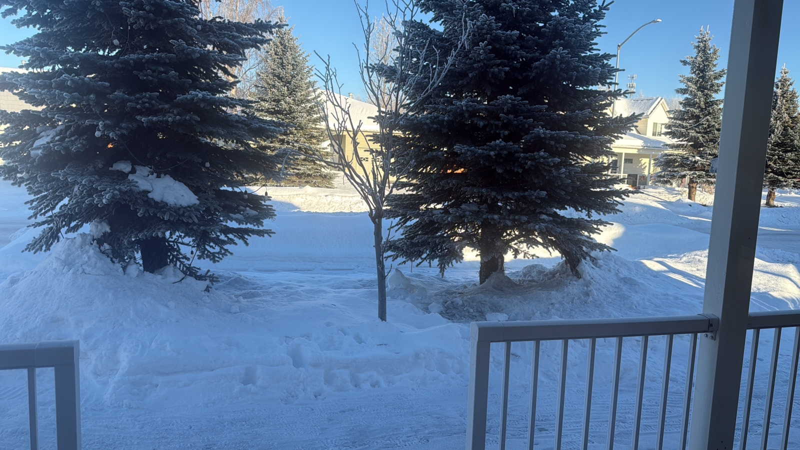 Family home in one of the best neighborhoods in Anchorage.