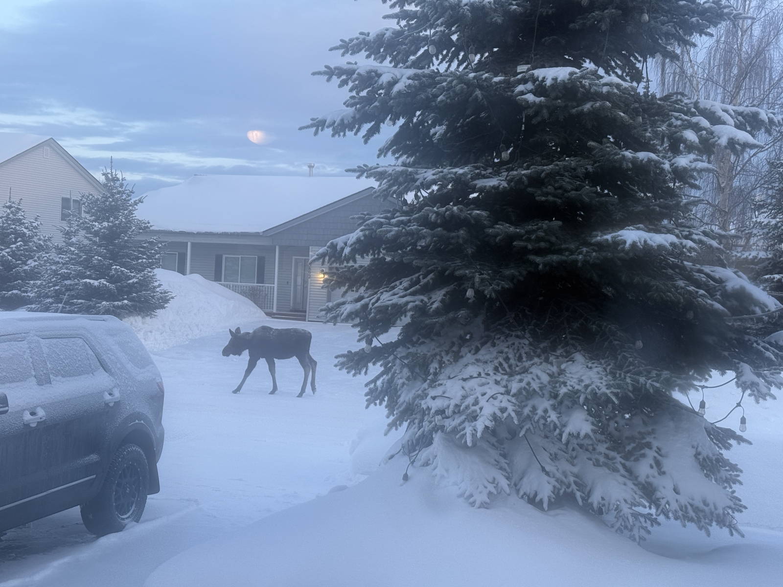 Family home in one of the best neighborhoods in Anchorage.