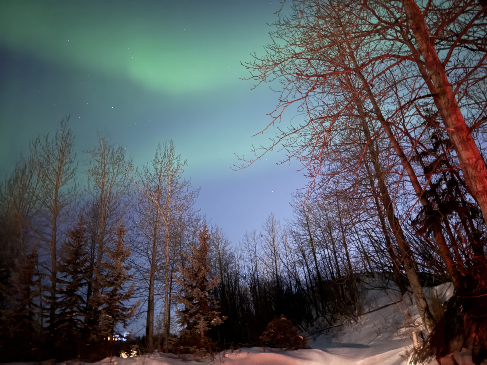 Family home in one of the best neighborhoods in Anchorage.
