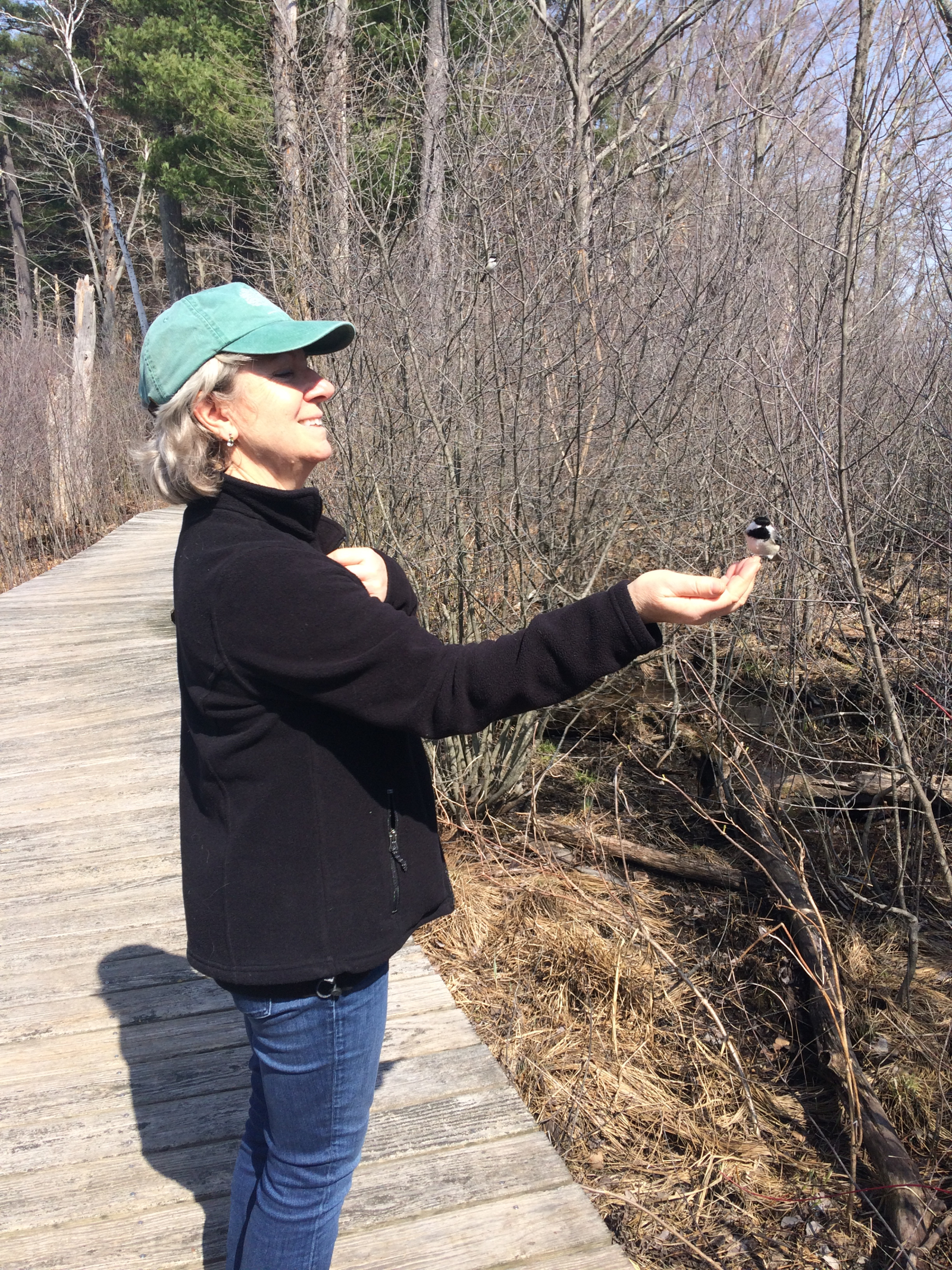 ¡Santuarios de aves cercanos!