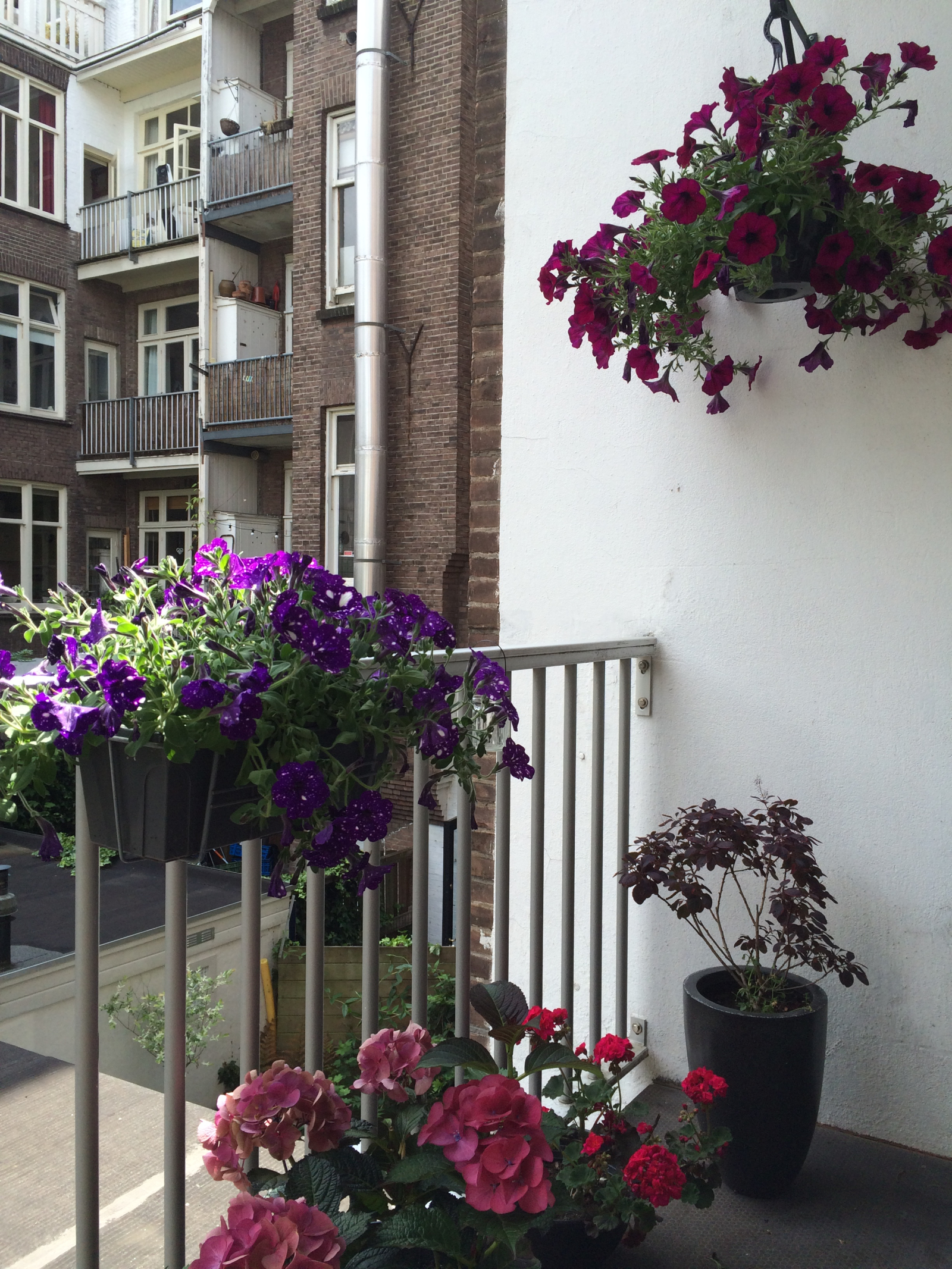 Bellissimo appartamento ad Amsterdam con 3 balconi!