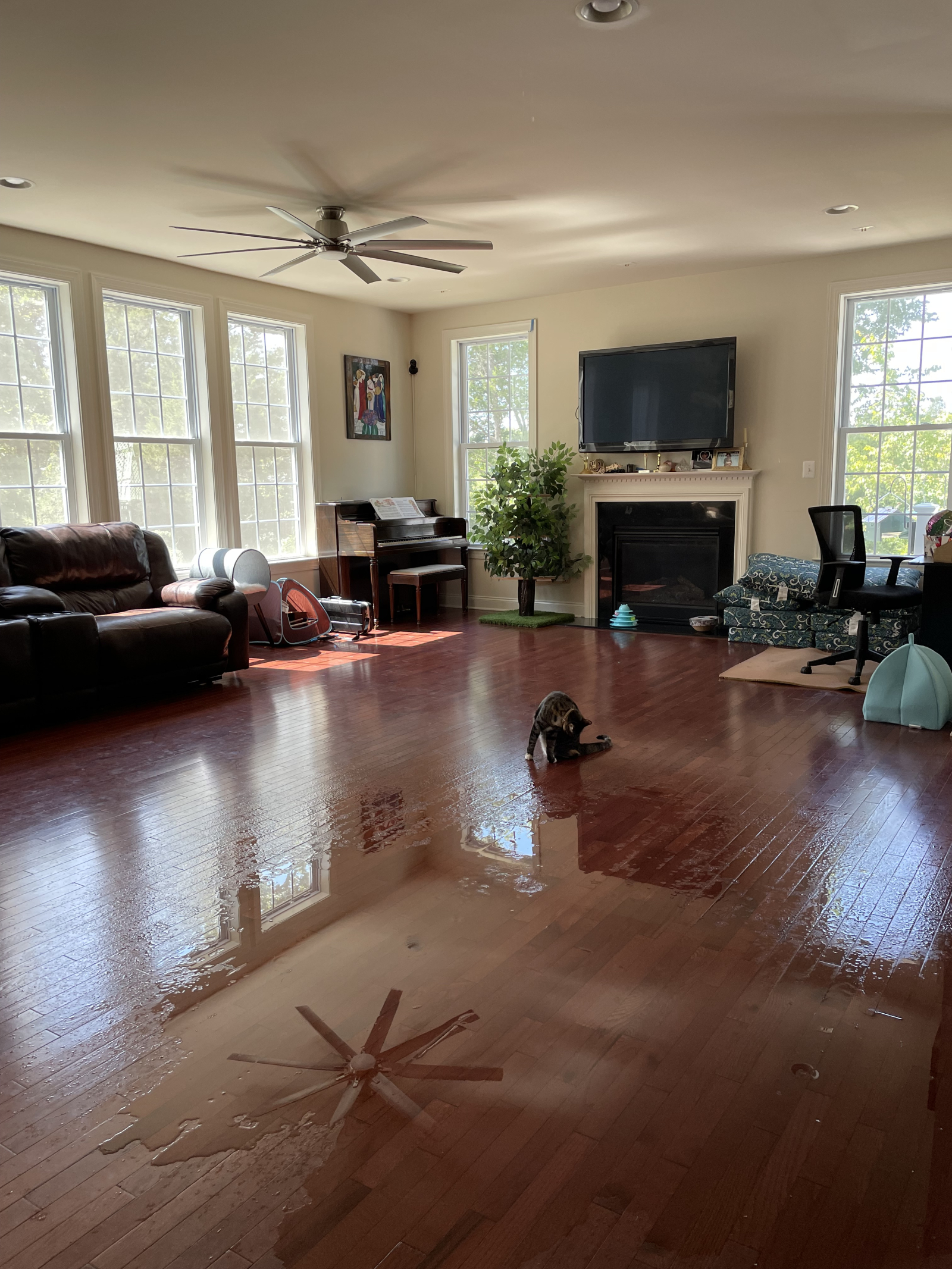 Woonkamer met werkende open haard, gemonteerde 54-inch tv, piano, banken en onze tijgergestreepte ka ...