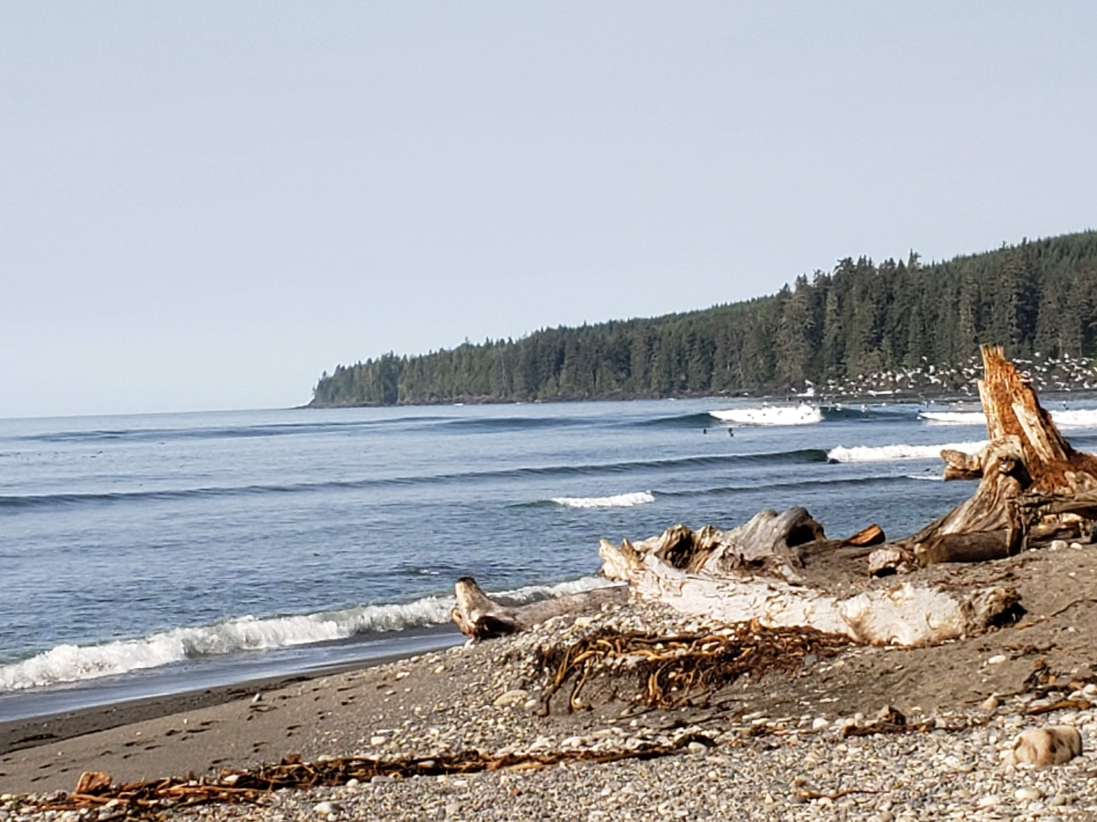 Sombrio Beach